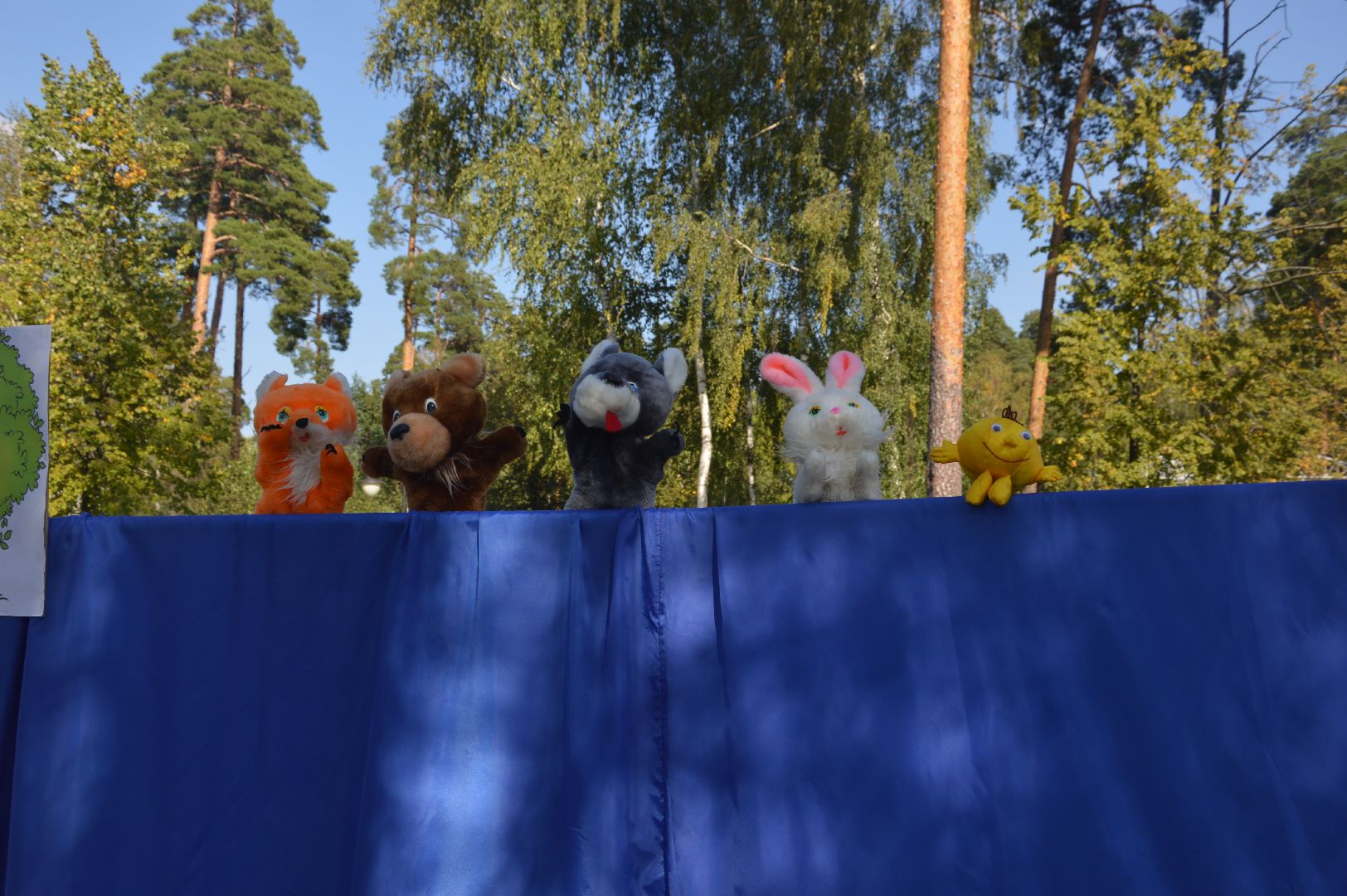 Шатура, парк, 1 сентября, День знаний