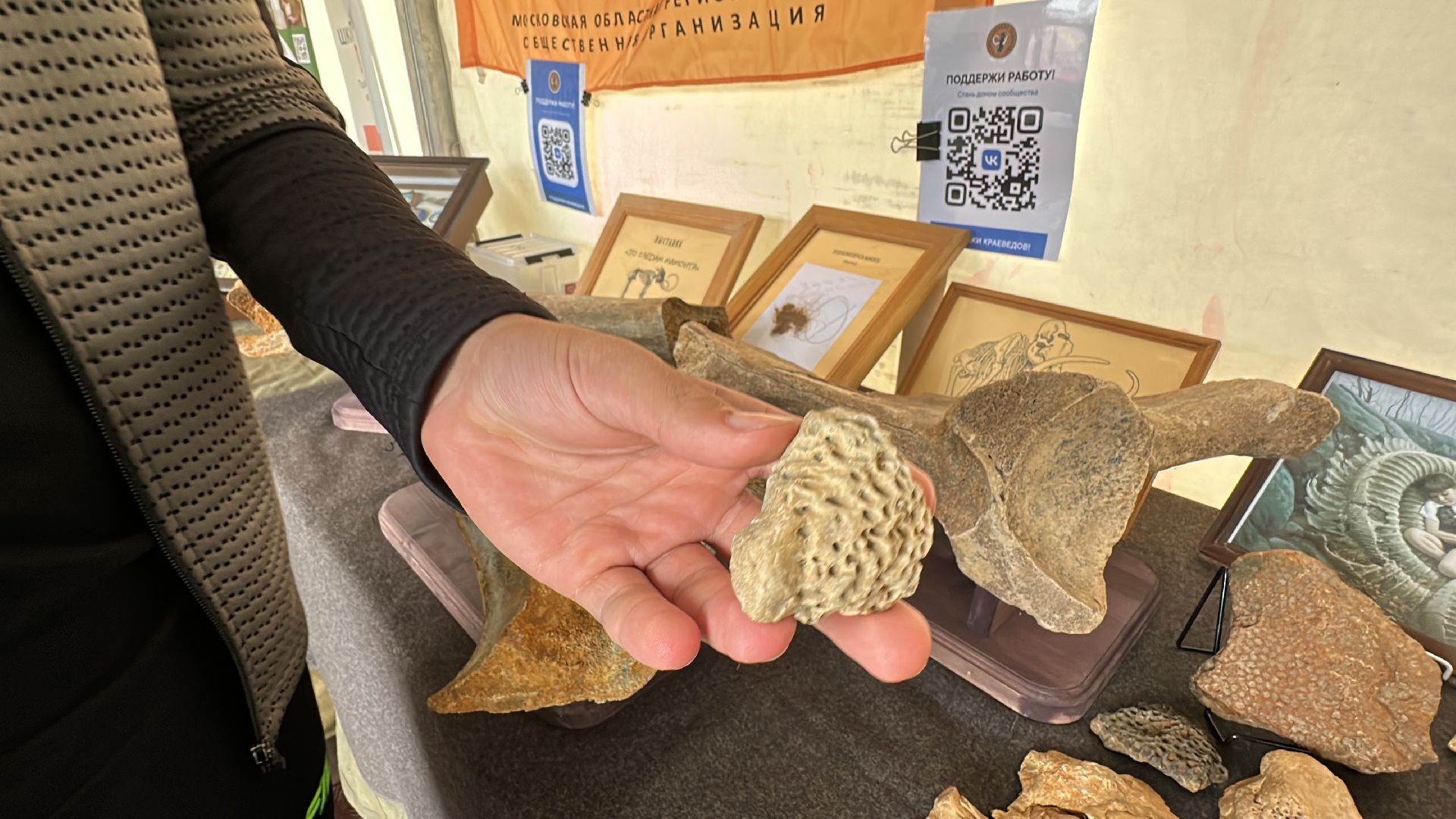 Одинцово, День города, Краеведы, Китежъ