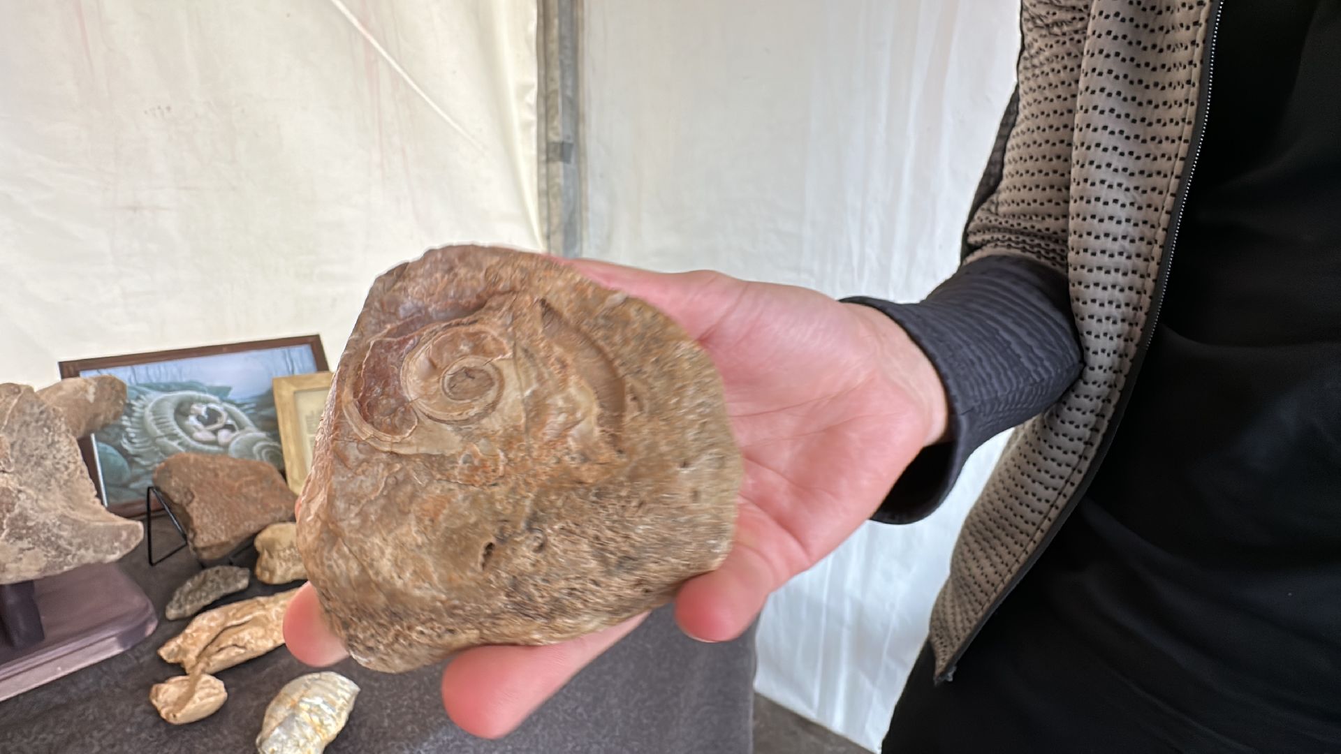 Одинцово, День города, Краеведы, Китежъ