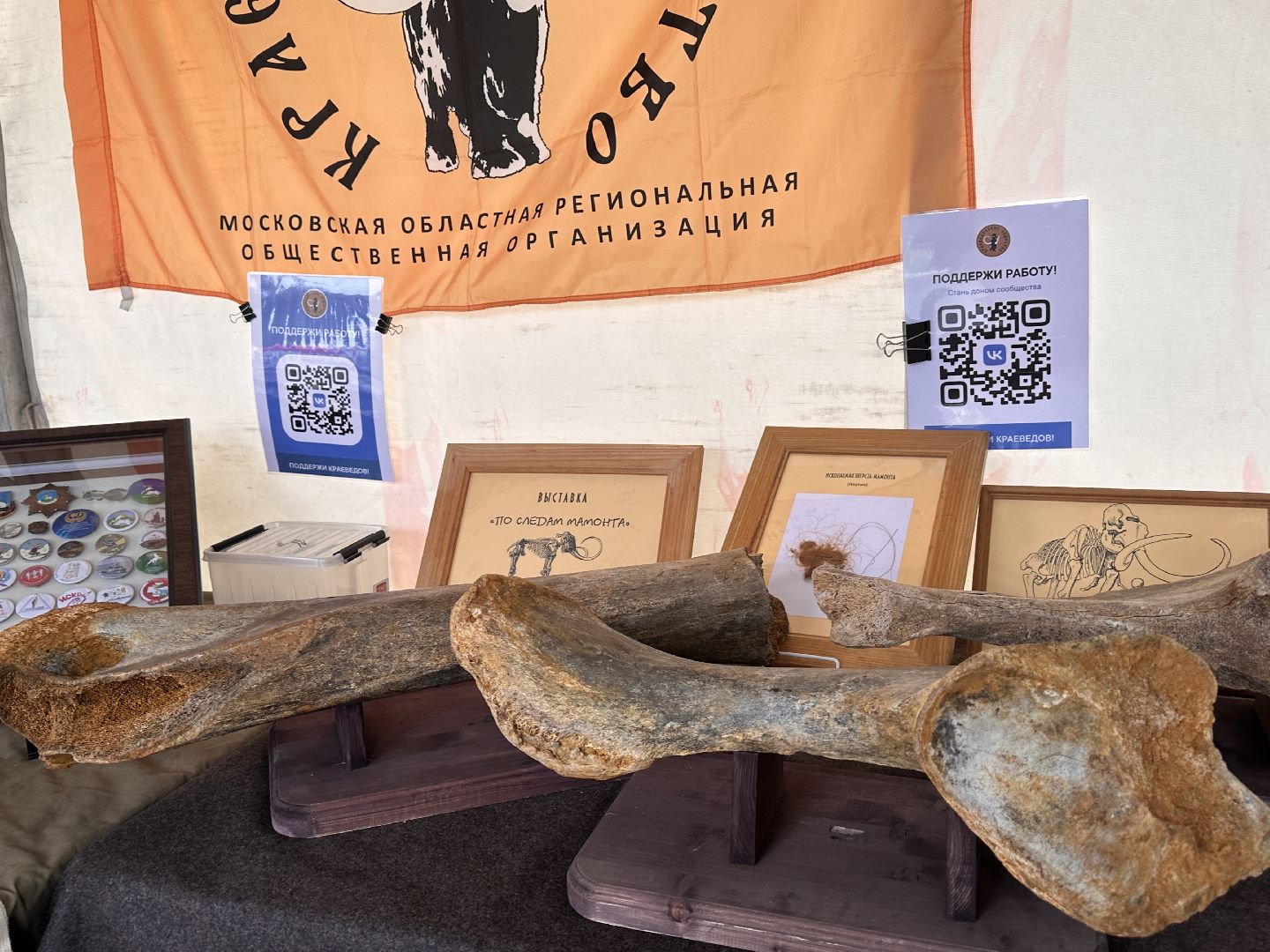 Одинцово, День города, Краеведы, Китежъ