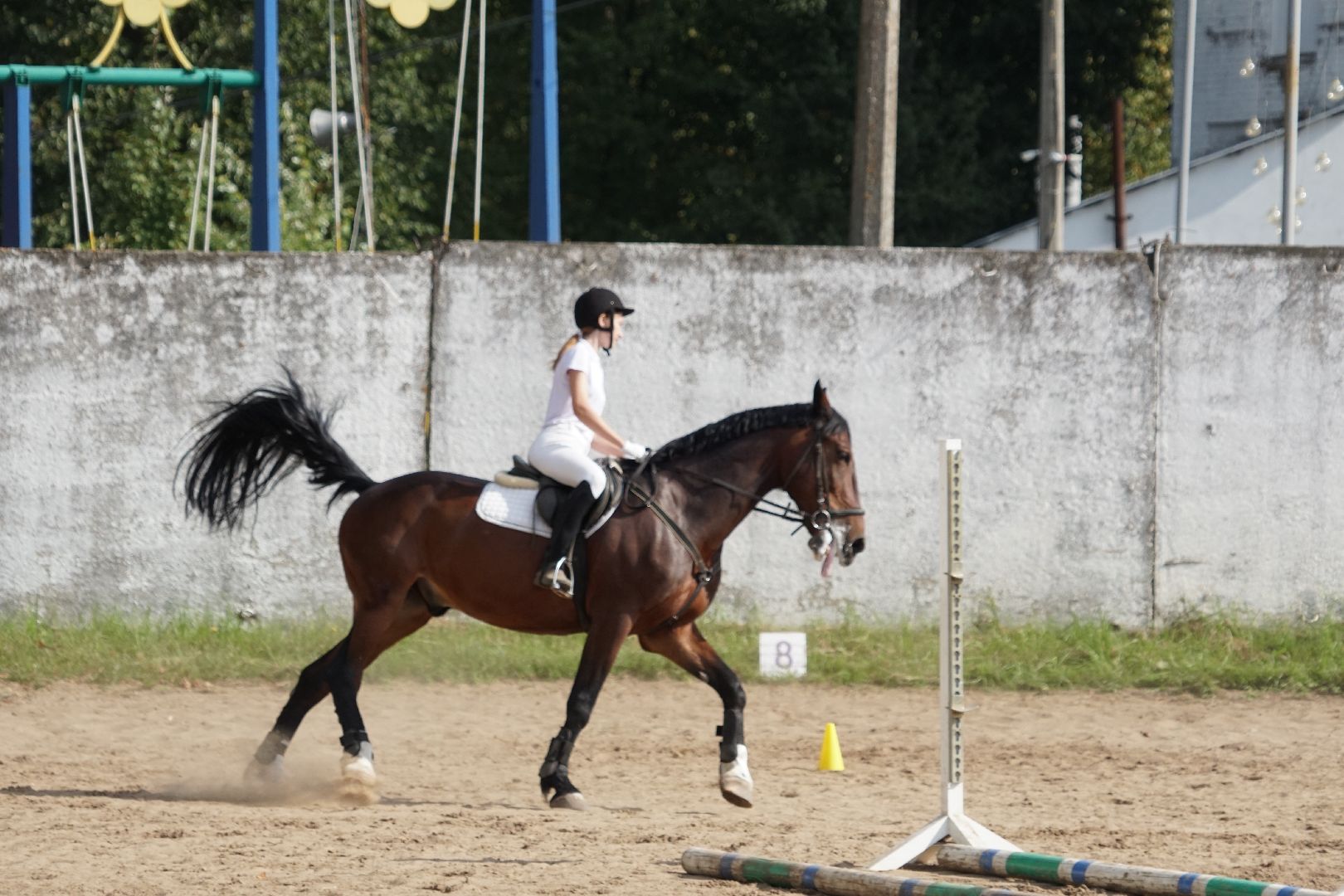 Егорьевск, спорт, Мещера, конкур,