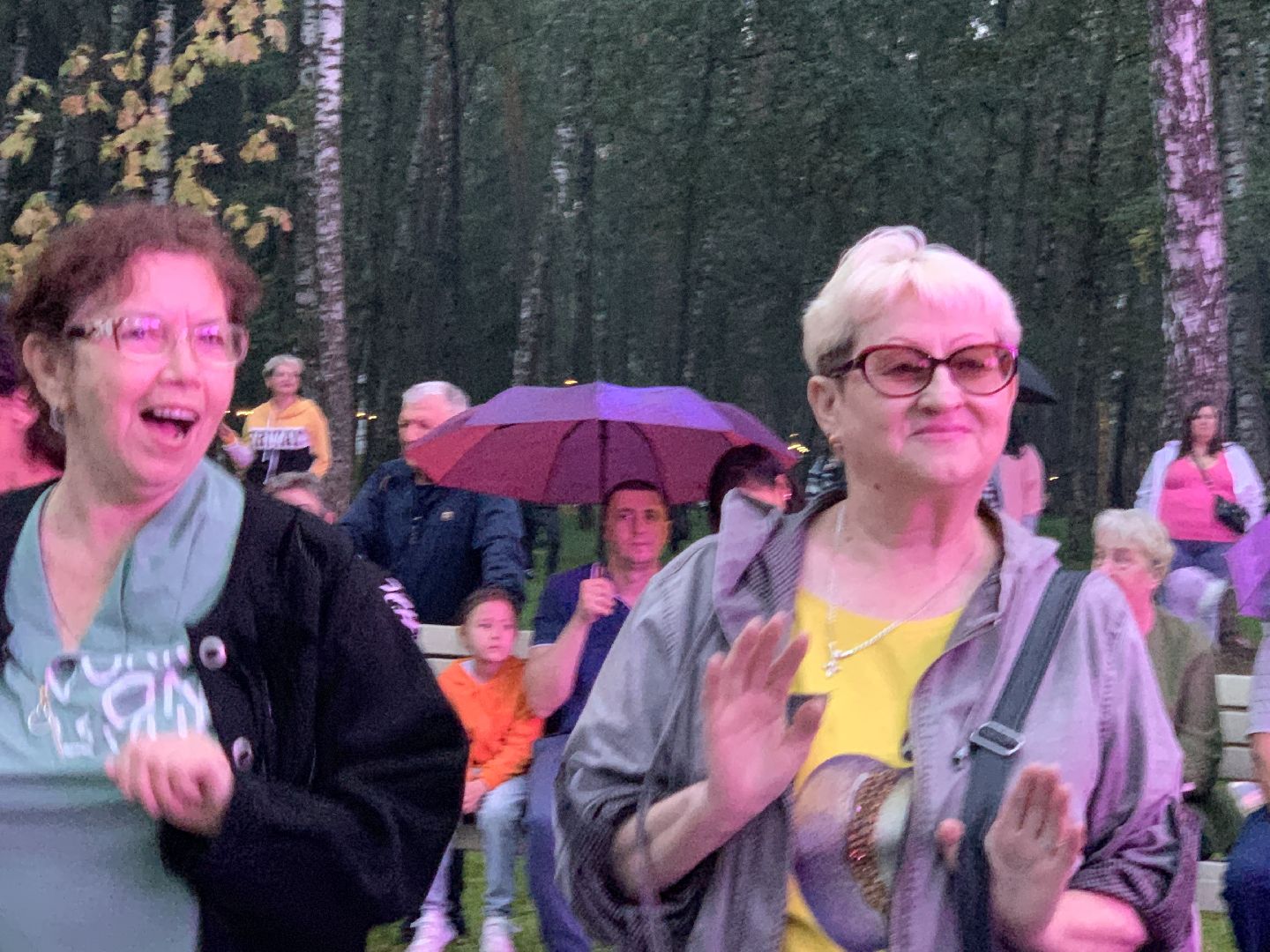 Балашиха, Подмосковье, День города, концерты, парки