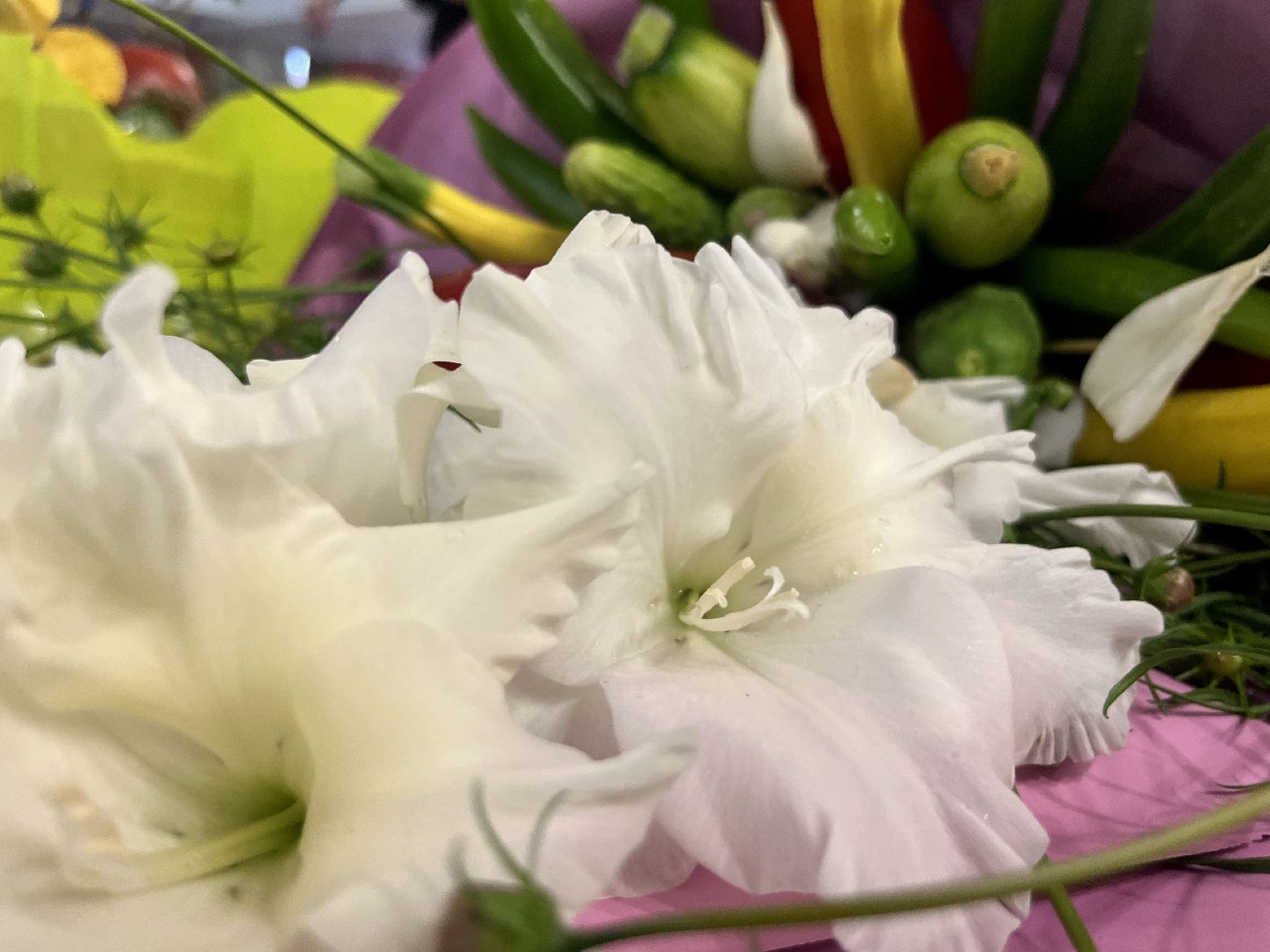 Наро-Фоминск, урожай, дары осени, ЦДК «Звезда», огород