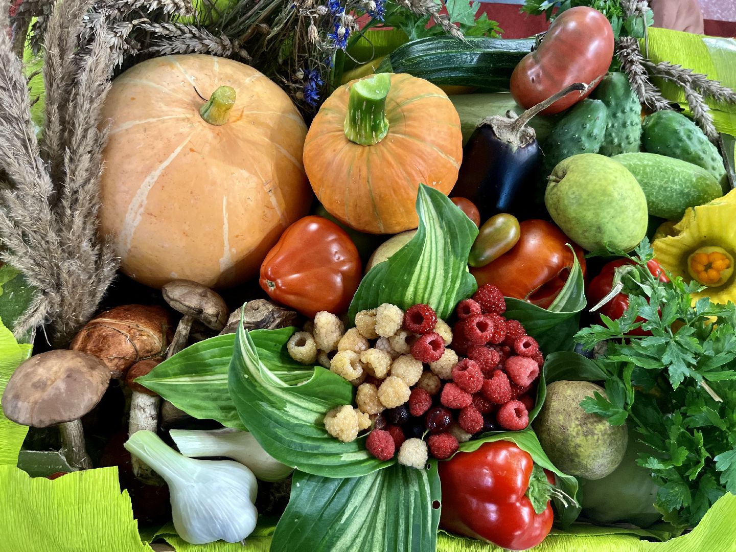 Наро-Фоминск, урожай, дары осени, ЦДК «Звезда», огород