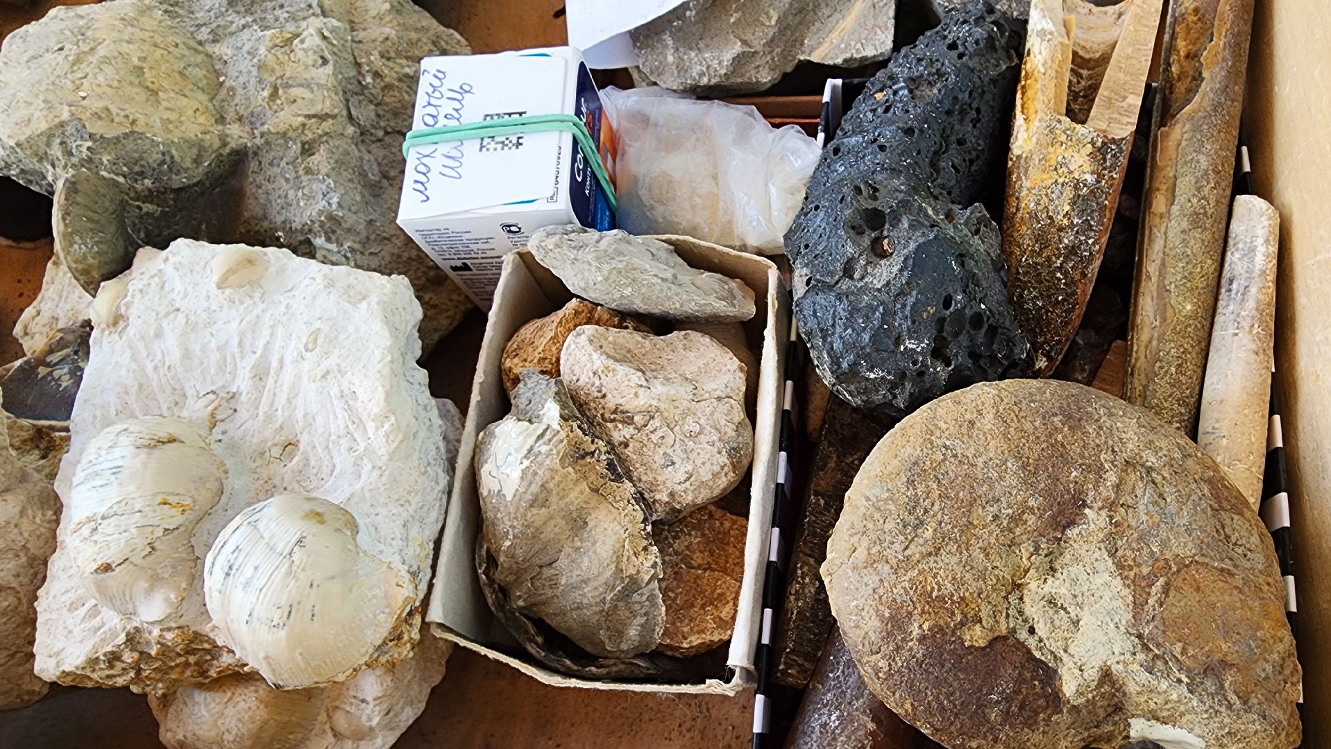 Ступино, день знаний, историко-краеведческий музей