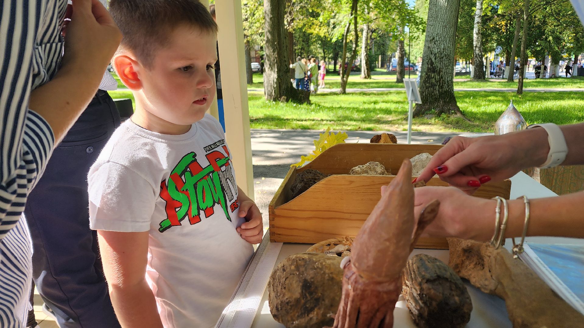 Ступино, день знаний, историко-краеведческий музей