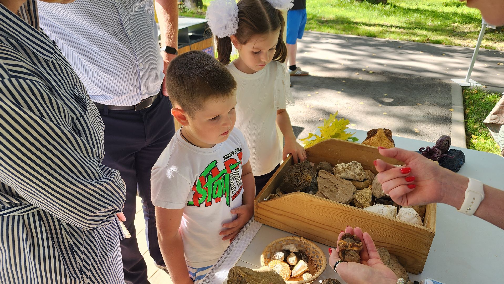 Ступино, день знаний, историко-краеведческий музей