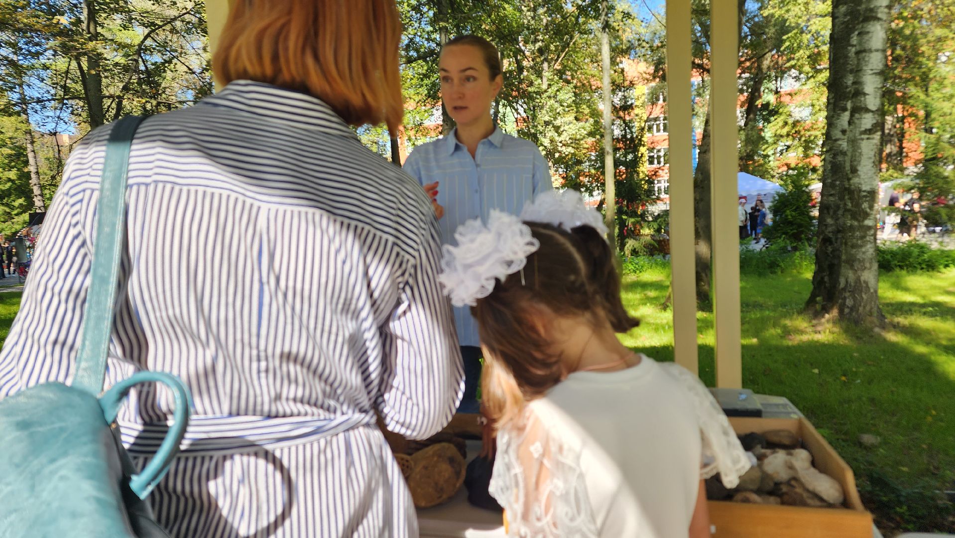 Ступино, день знаний, историко-краеведческий музей