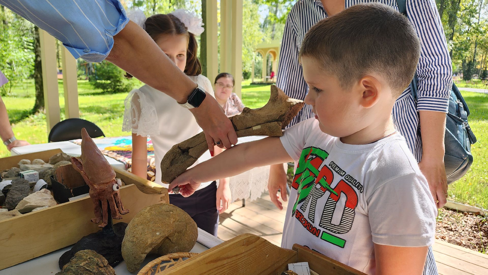 Ступино, день знаний, историко-краеведческий музей