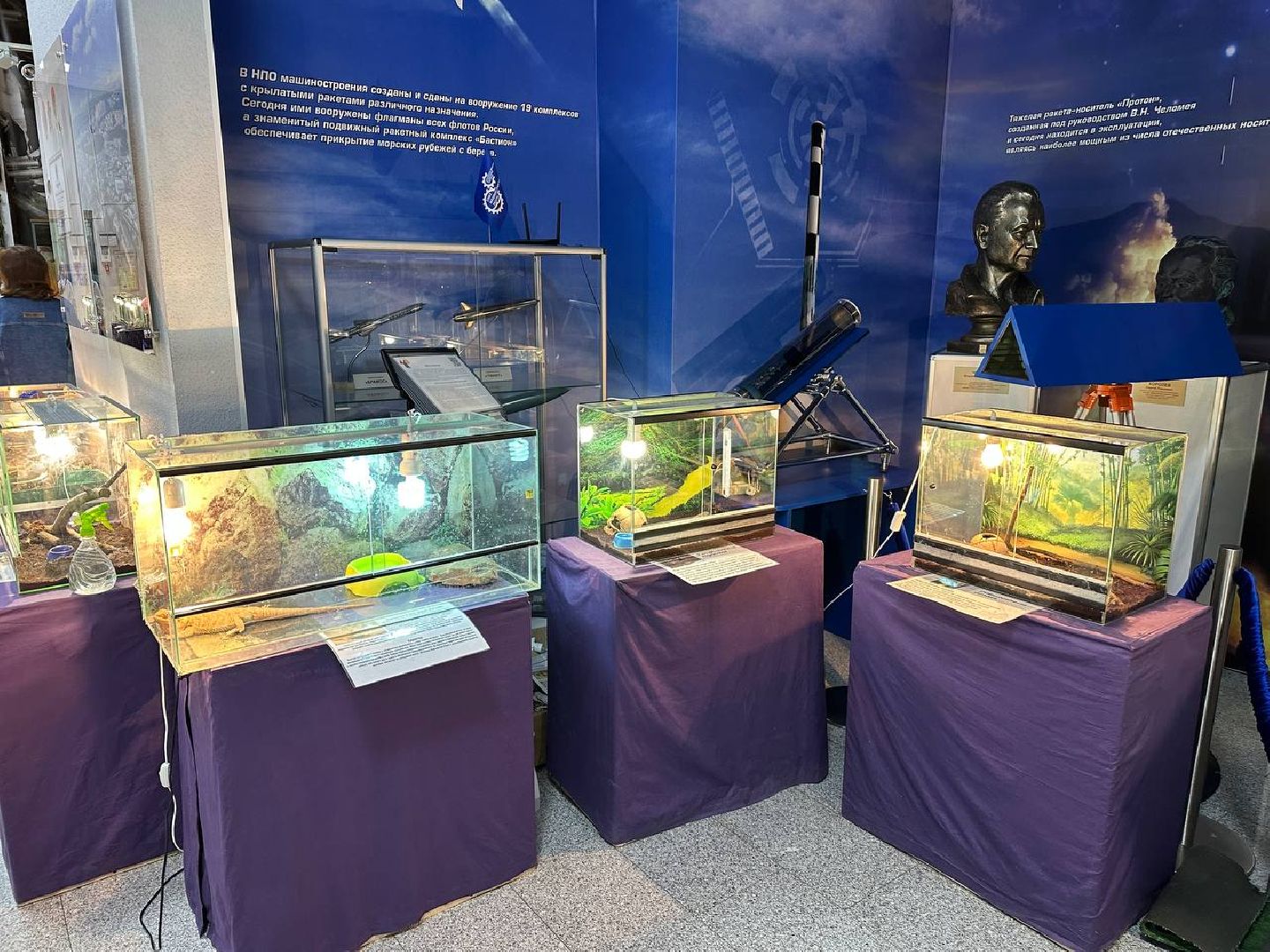 Реутов, выставки, музей, пауки, тарантулы, питоны