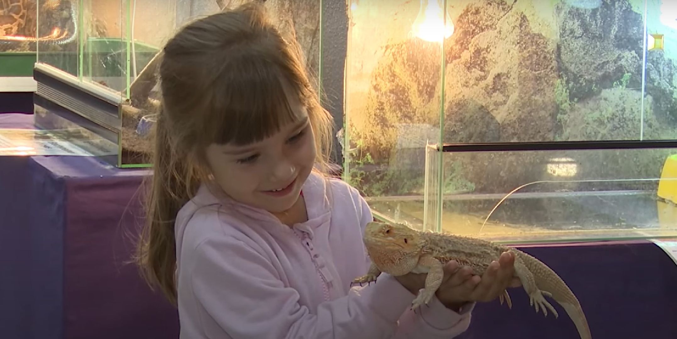 Реутов, выставки, музей, пауки, тарантулы, питоны