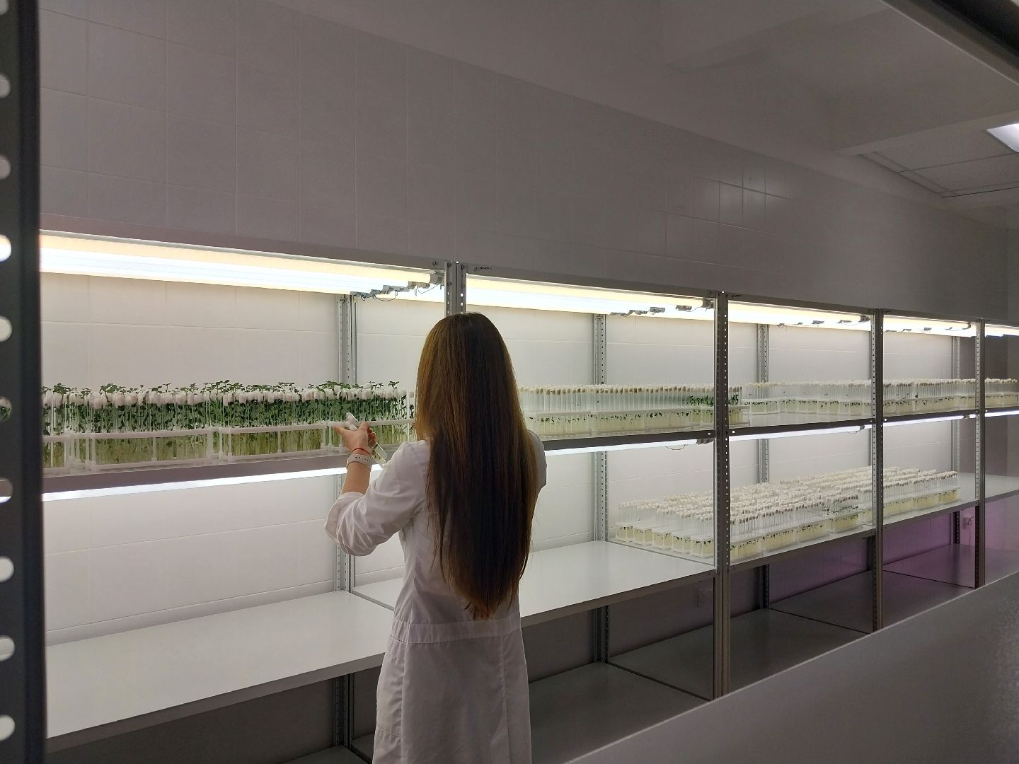 Коломна, Коломенский аграрный колледж, образование