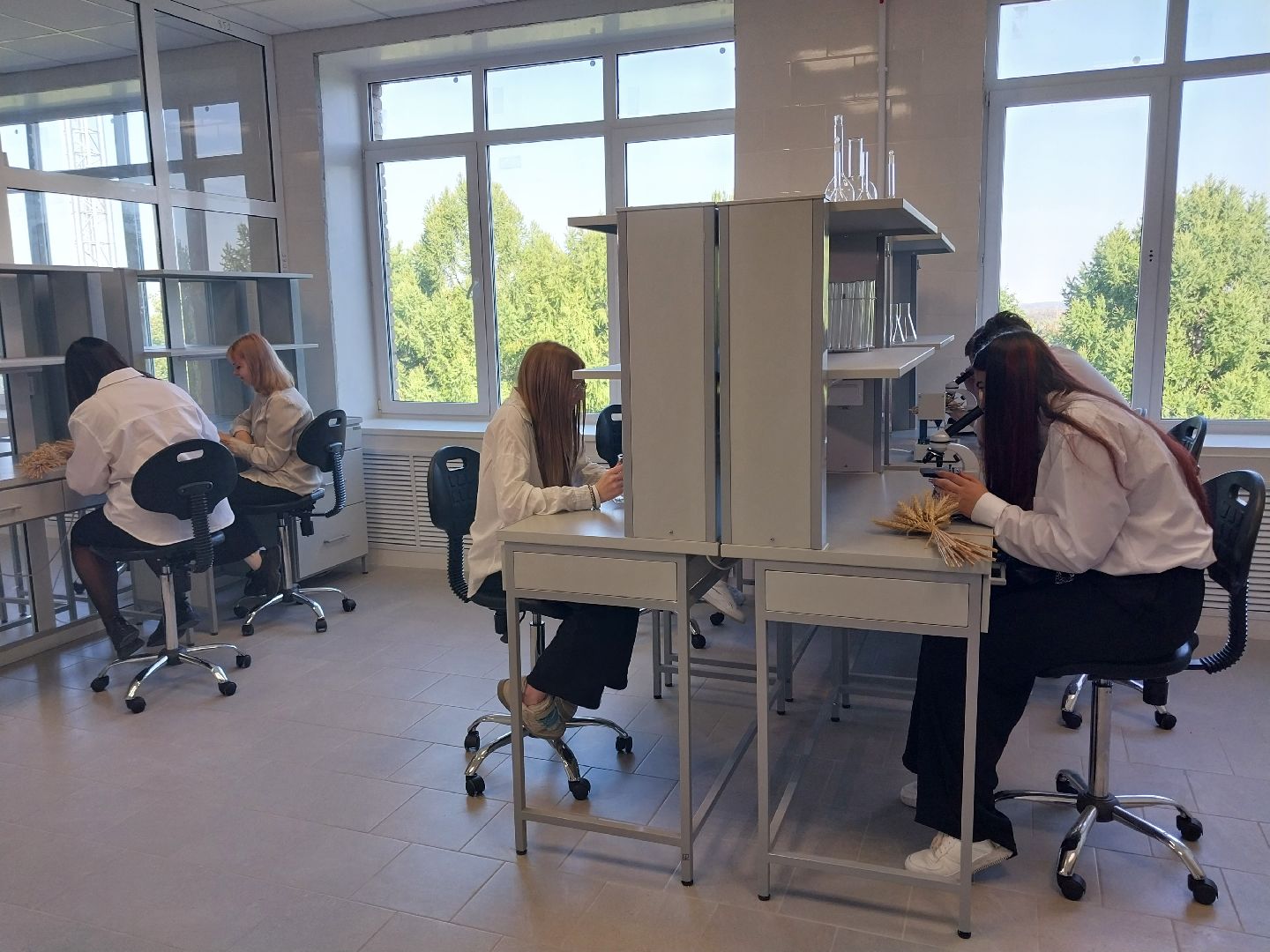 Коломна, Коломенский аграрный колледж, образование