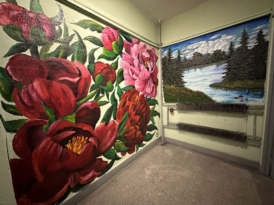 благоустройство, подъезд, конкурс, граффити, дом, рисунок, Реутов