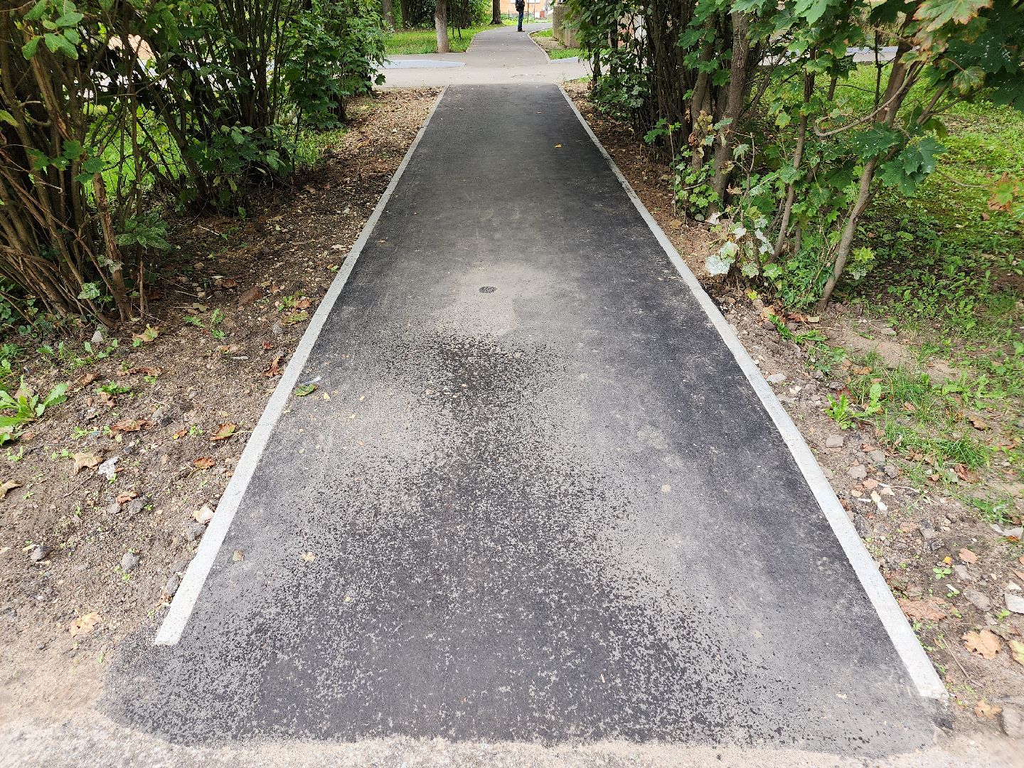 Истра, тропинки, дороги, благоустройство