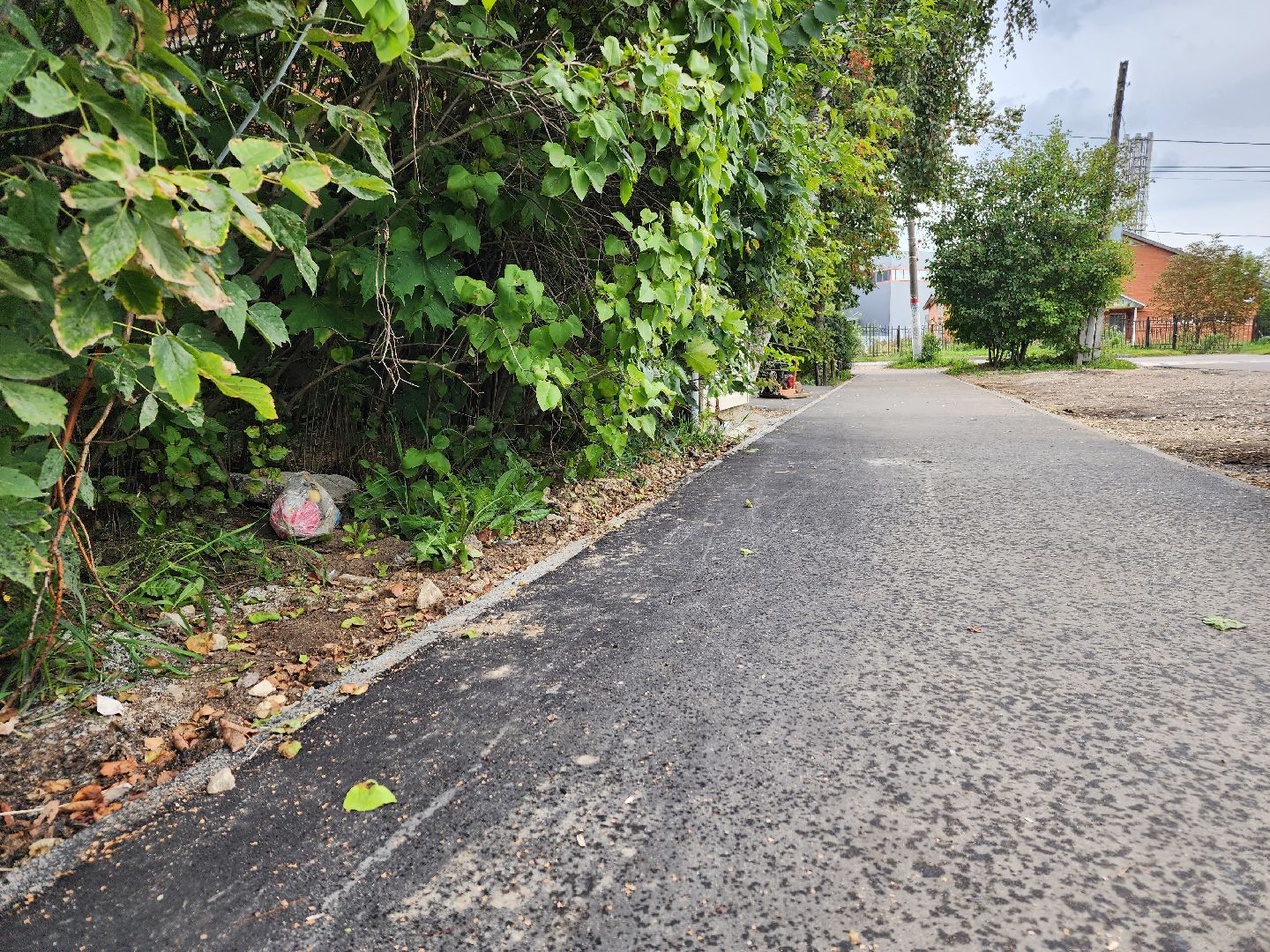 Истра, тропинки, дороги, благоустройство