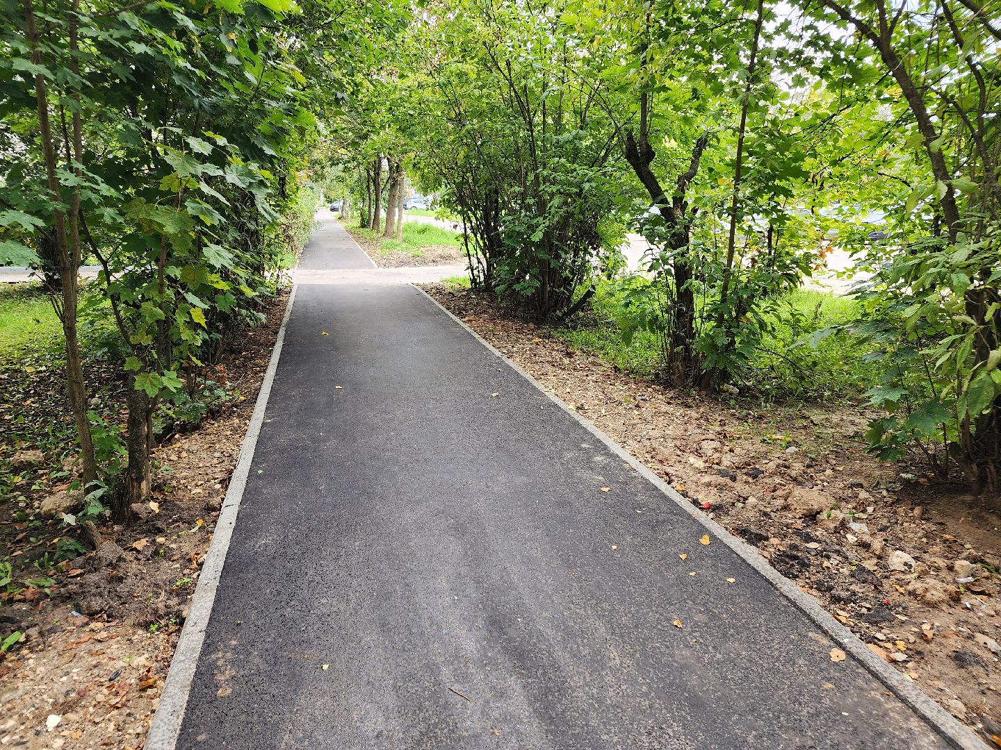 Истра, тропинки, дороги, благоустройство