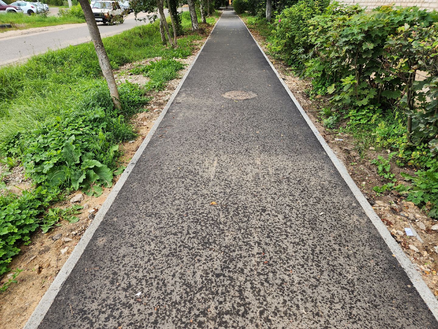 Истра, тропинки, дороги, благоустройство