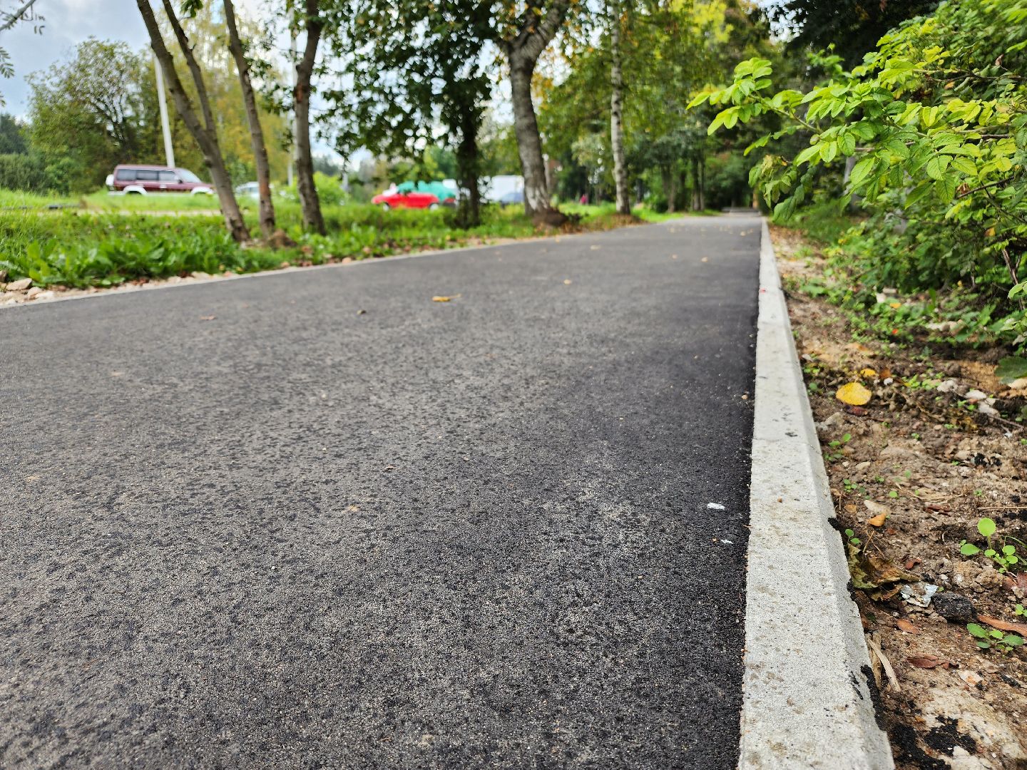 Истра, тропинки, дороги, благоустройство