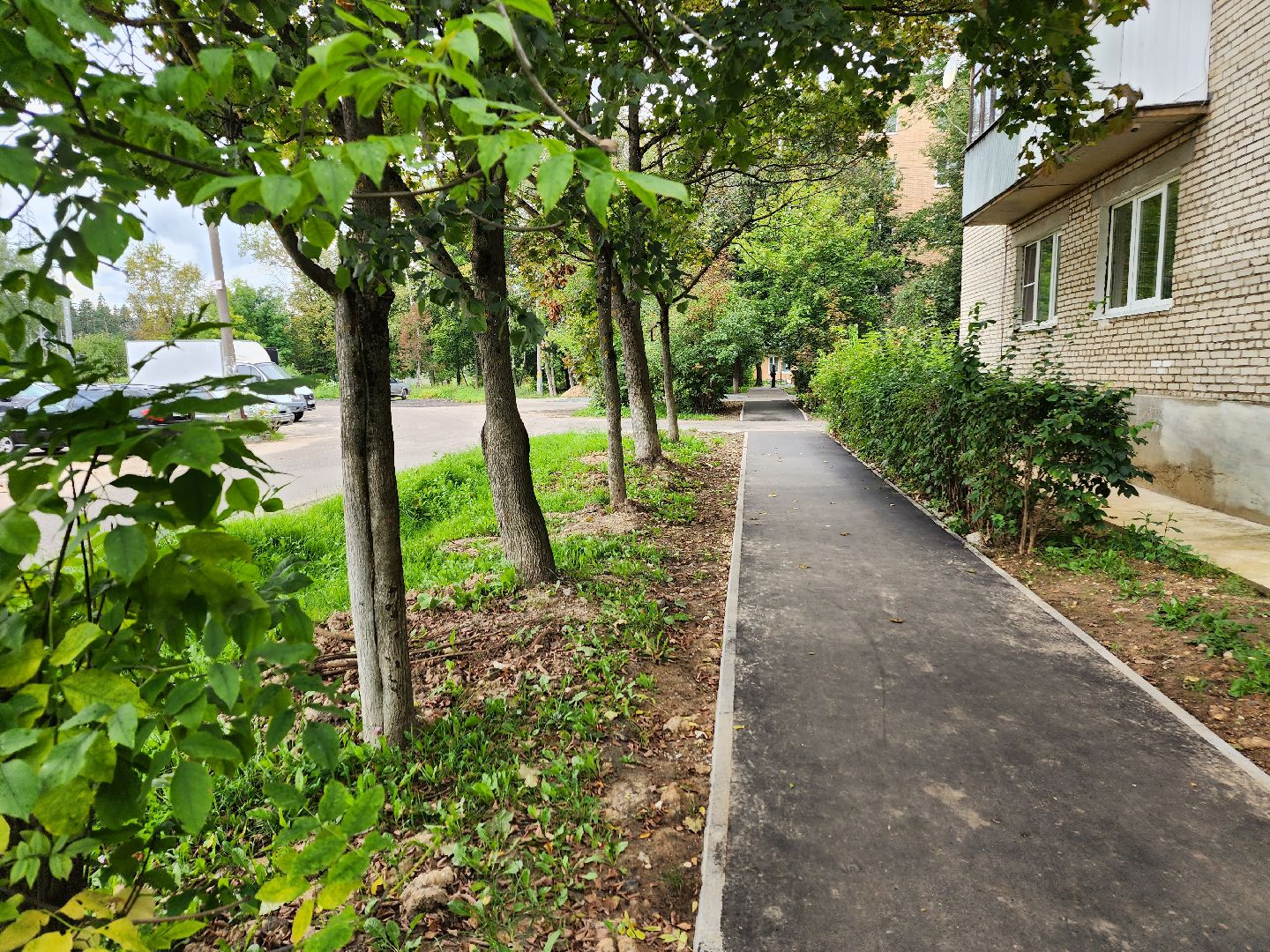 Истра, тропинки, дороги, благоустройство