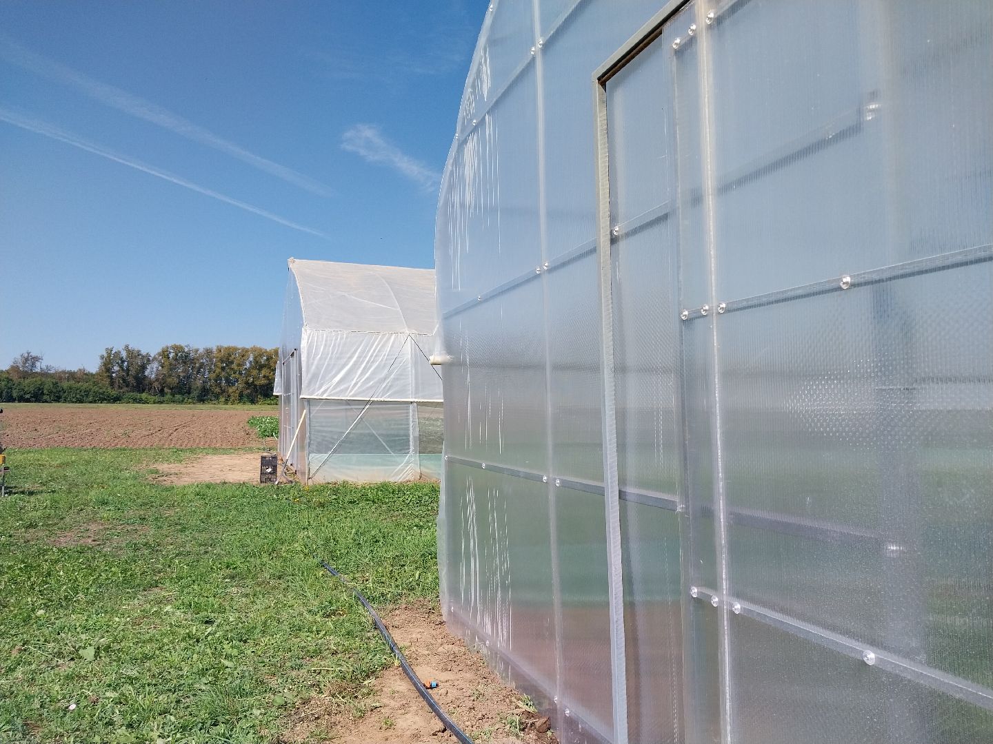 Коломна, коломенский аграрный колледж, агрокластер