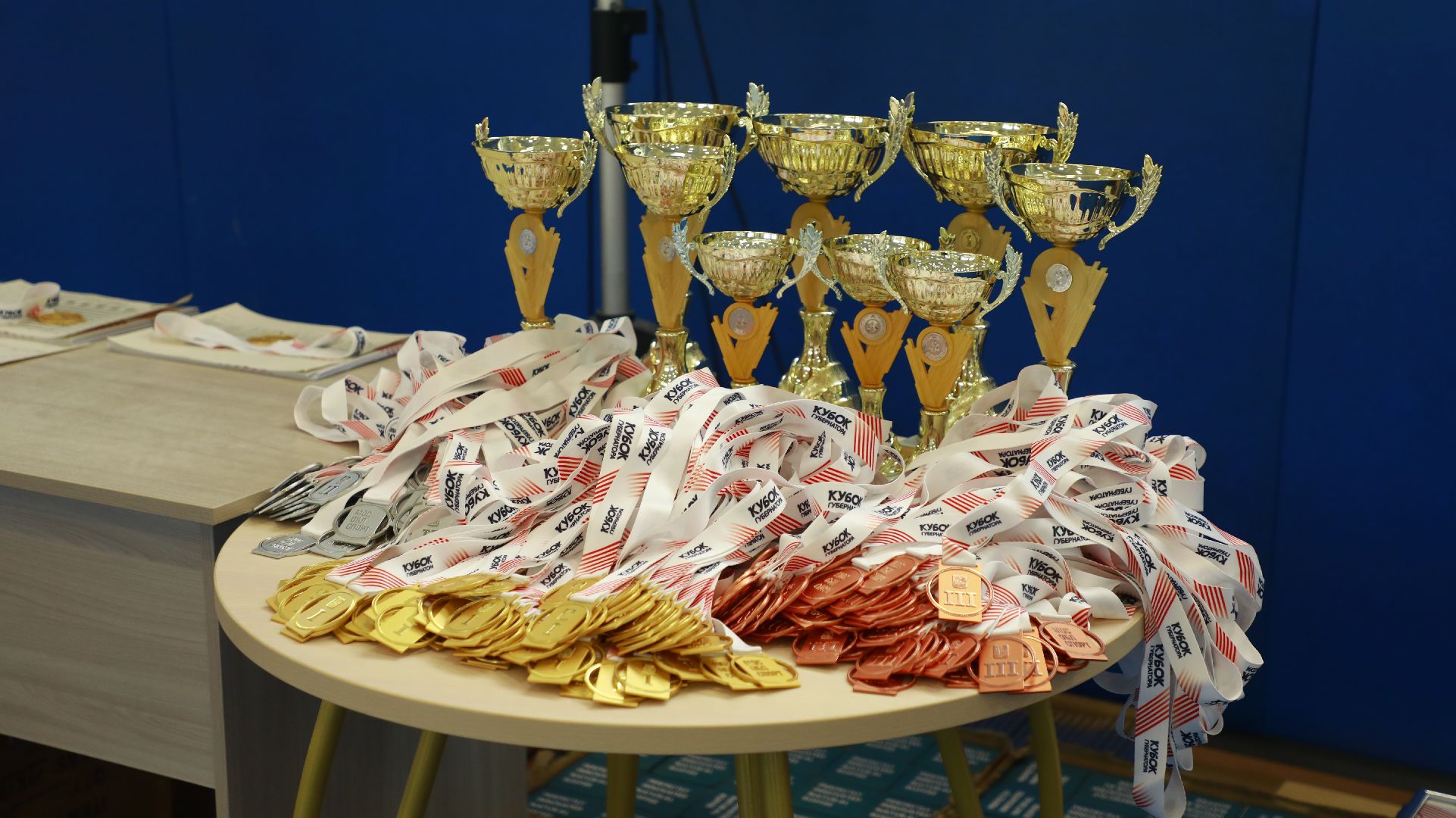 Реутов, спорт, губернатор, спортивная гимнастика