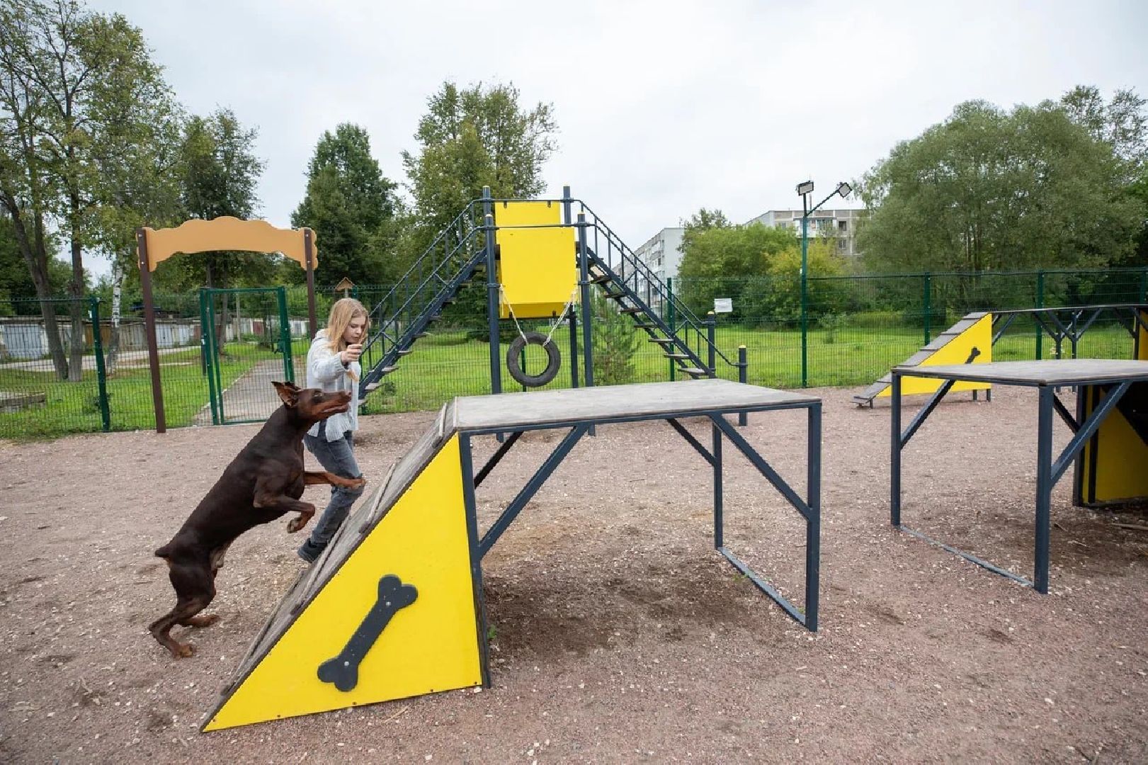 Подольск, собаки, площадка