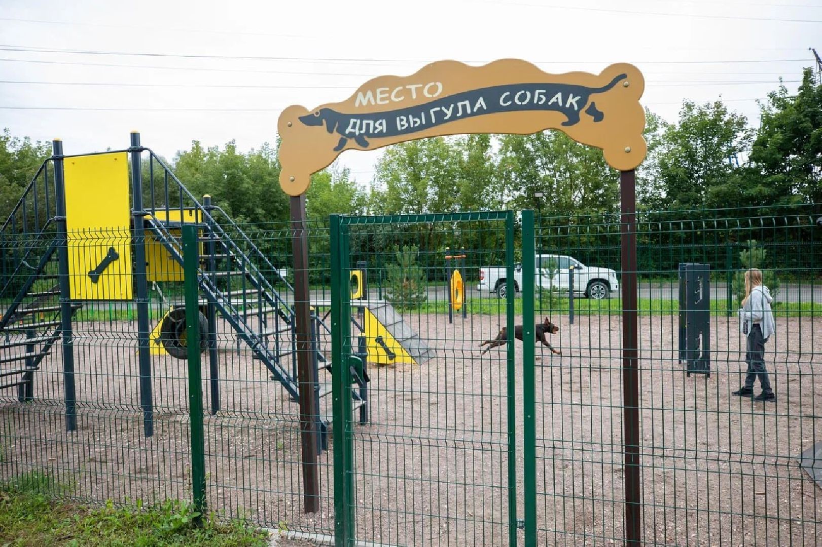 Подольск, собаки, площадка