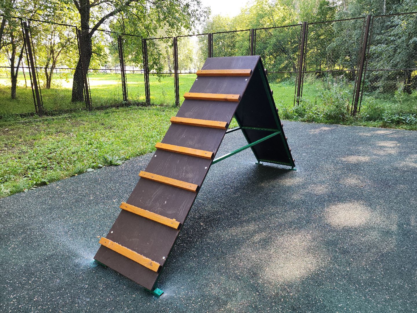 Кашира, парк, площадка для выгула собак, кинолог, мондьоринг