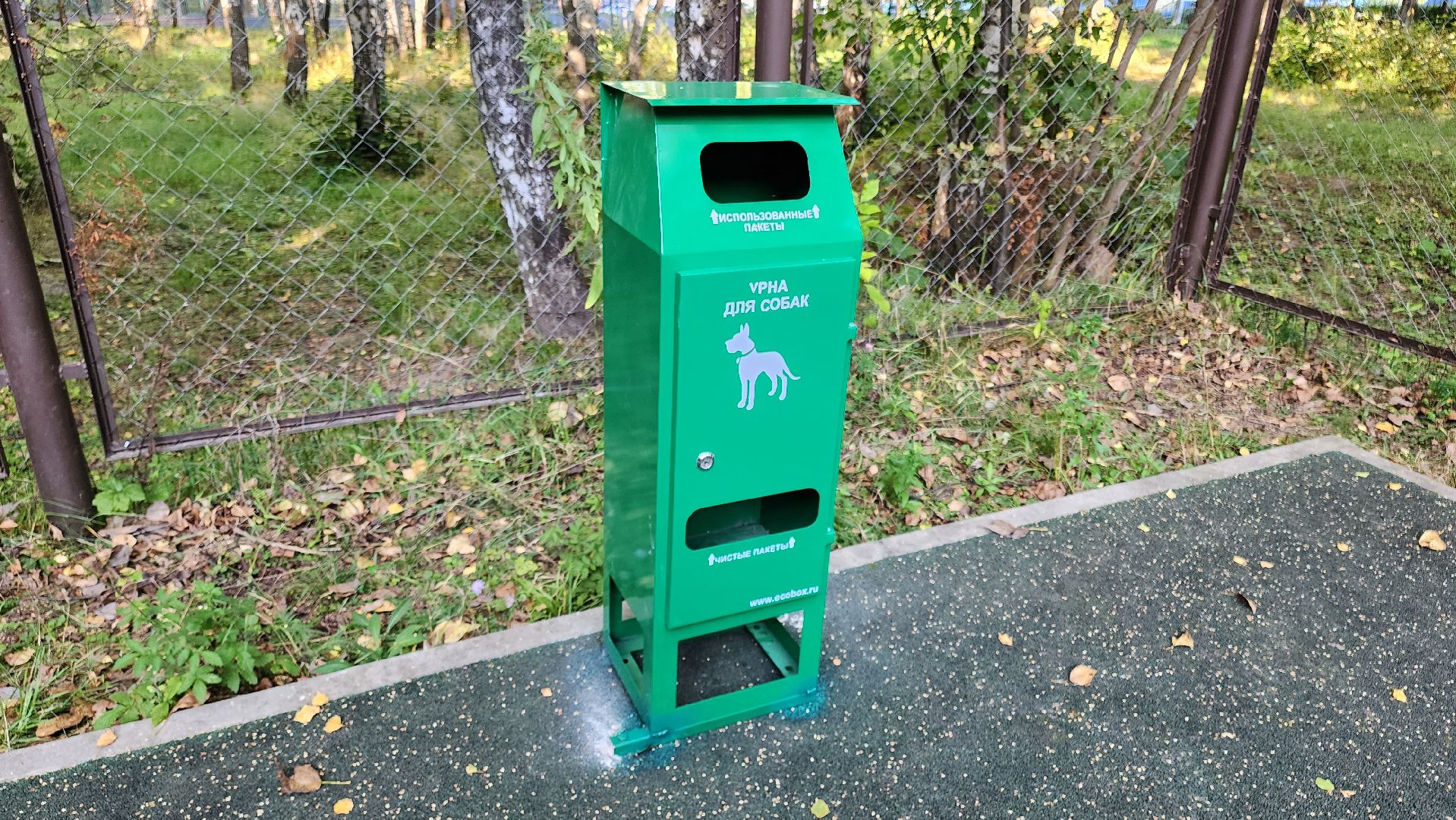 Кашира, парк, площадка для выгула собак, кинолог, мондьоринг