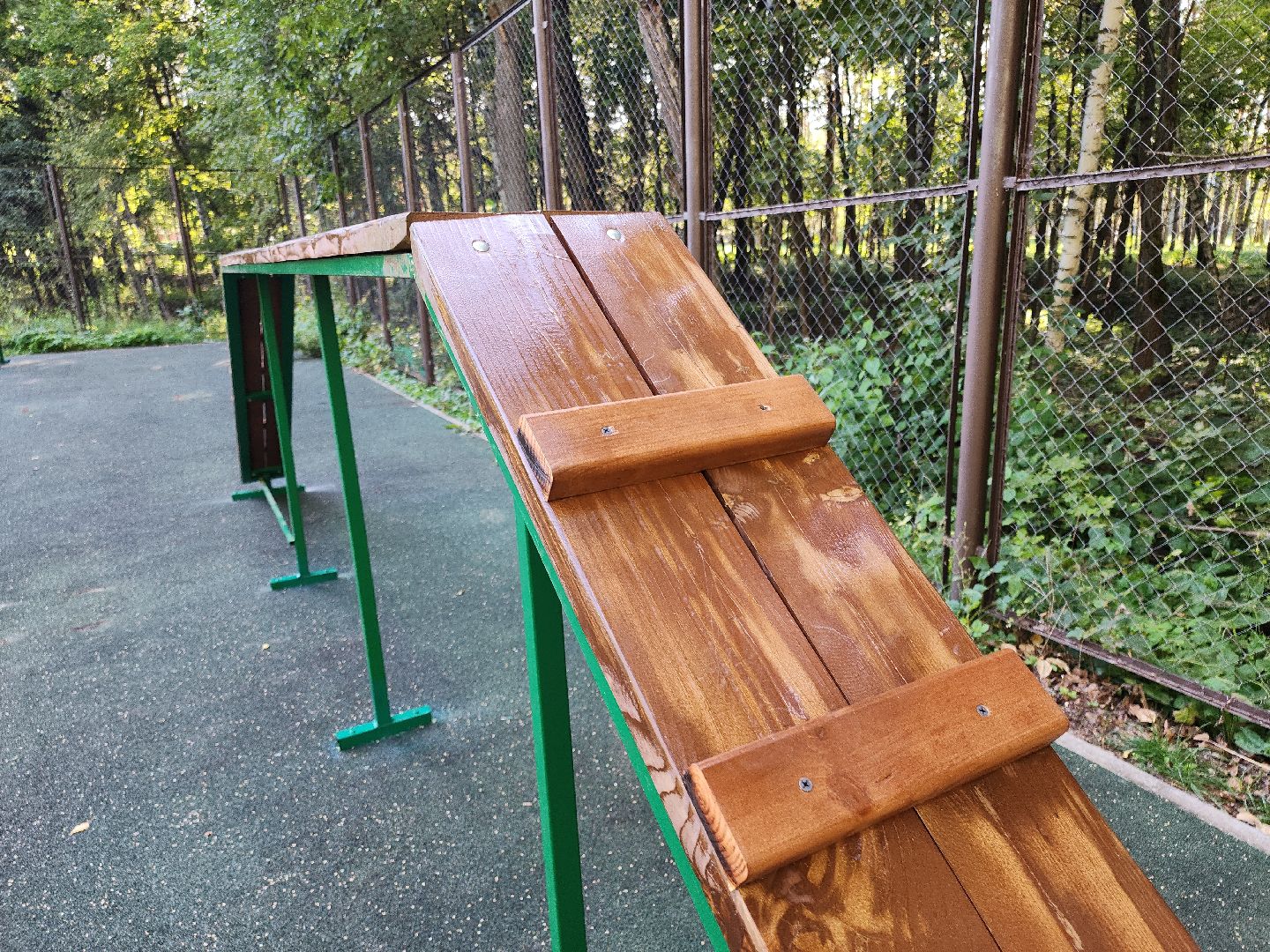 Кашира, парк, площадка для выгула собак, кинолог, мондьоринг