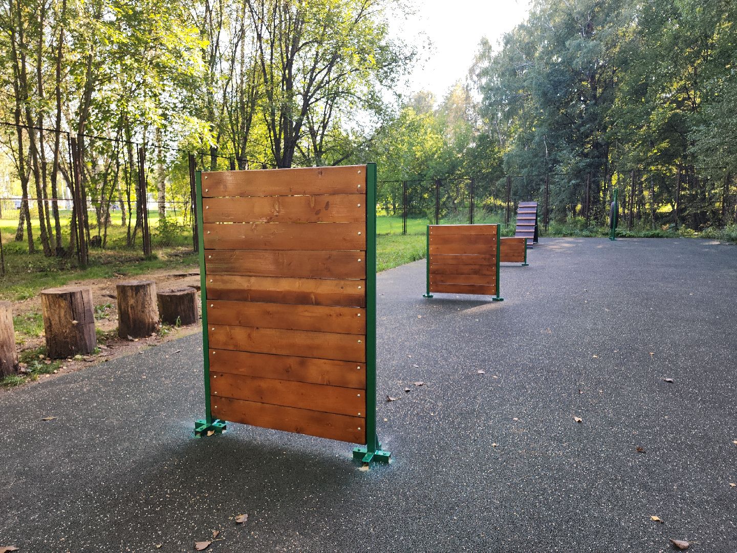 Кашира, парк, площадка для выгула собак, кинолог, мондьоринг