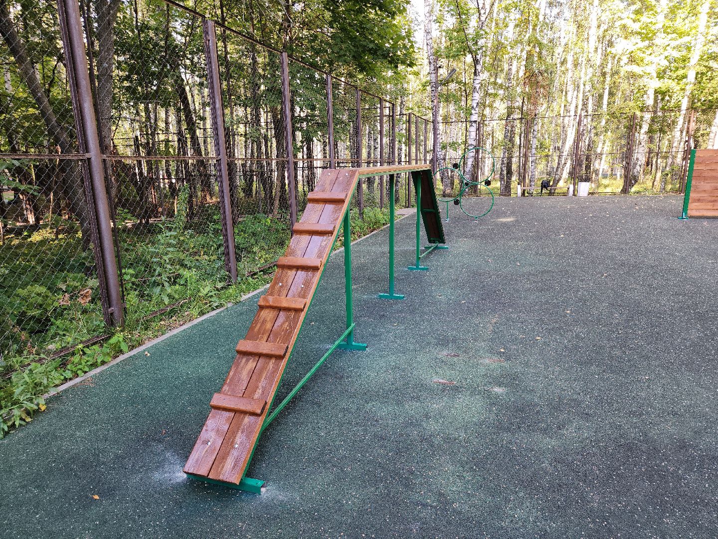 Кашира, парк, площадка для выгула собак, кинолог, мондьоринг