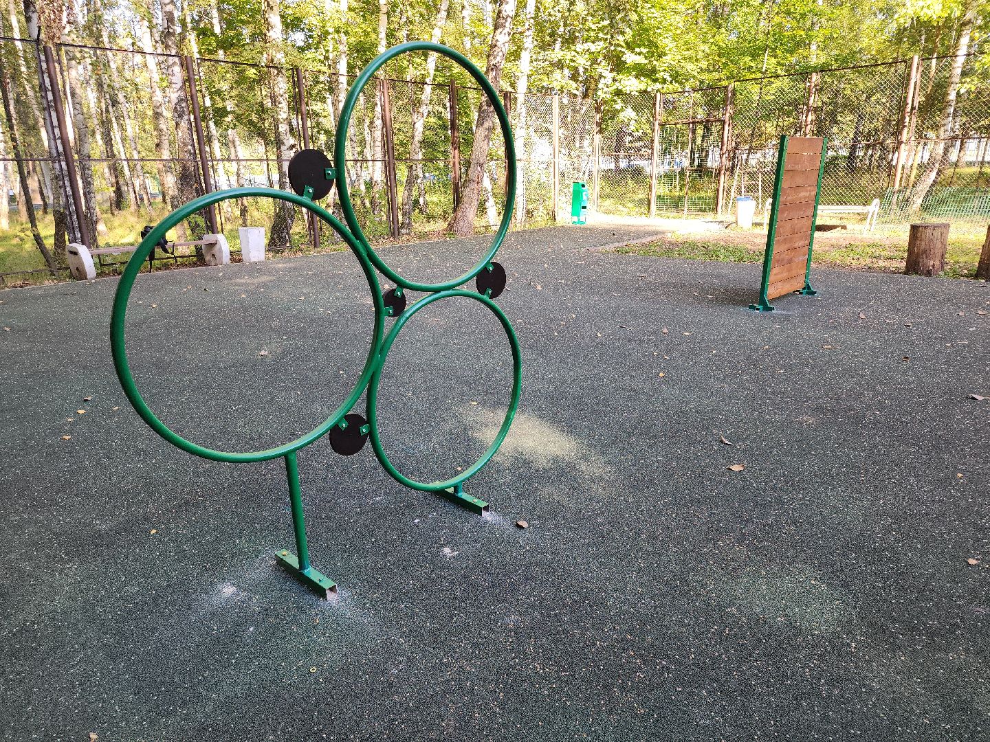 Кашира, парк, площадка для выгула собак, кинолог, мондьоринг