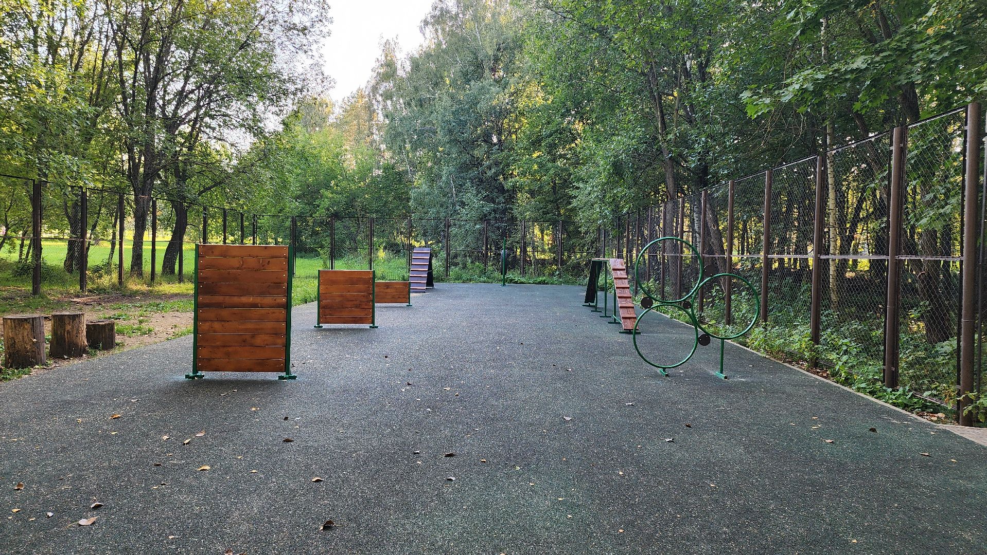 Кашира, парк, площадка для выгула собак, кинолог, мондьоринг