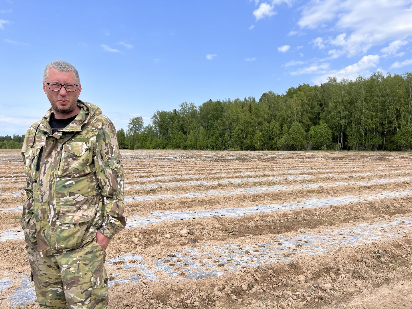 Шаховская, кфх, сельское хозяйство, овощи