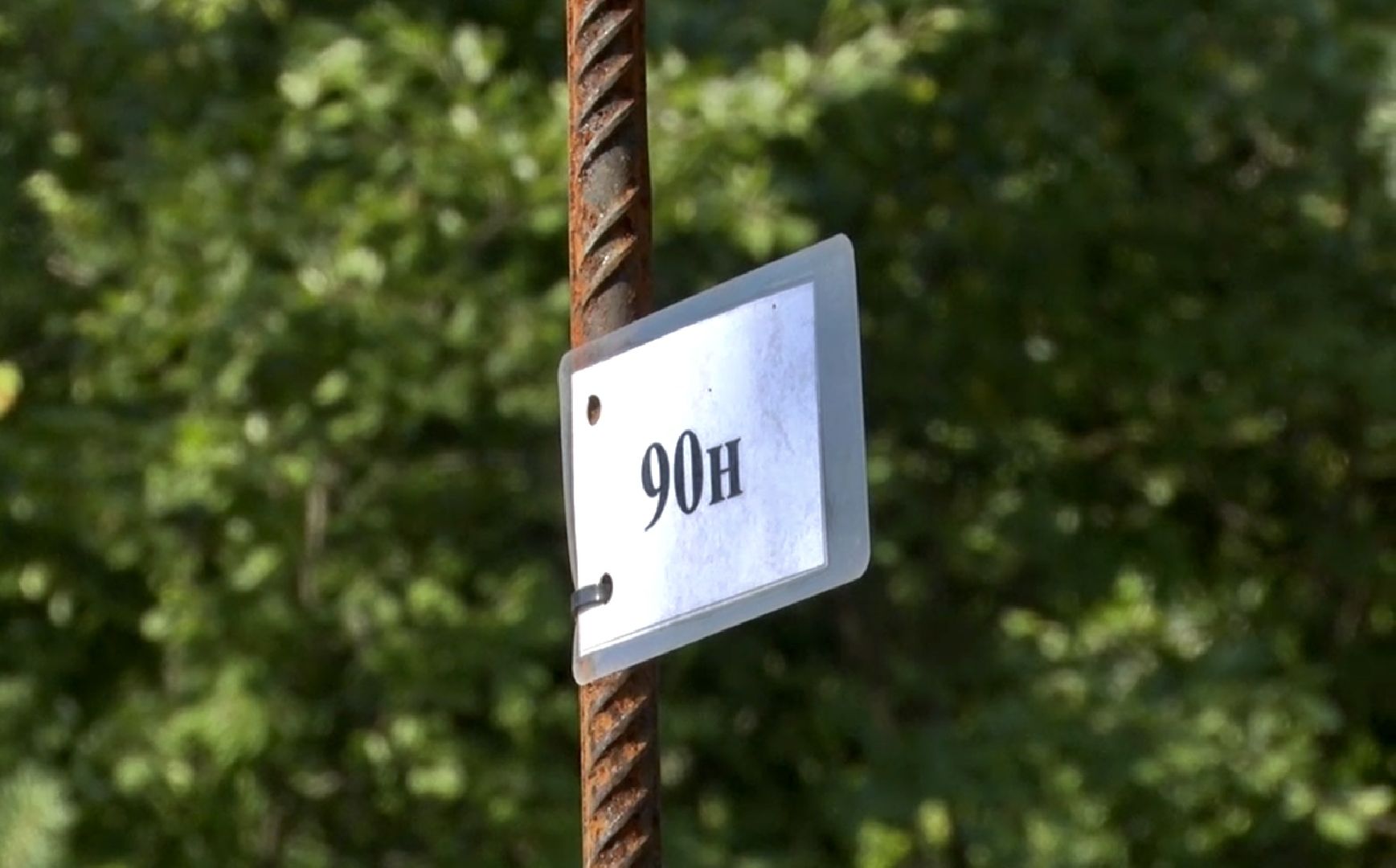 Клин, общество, перемены, строительство, благоустройство