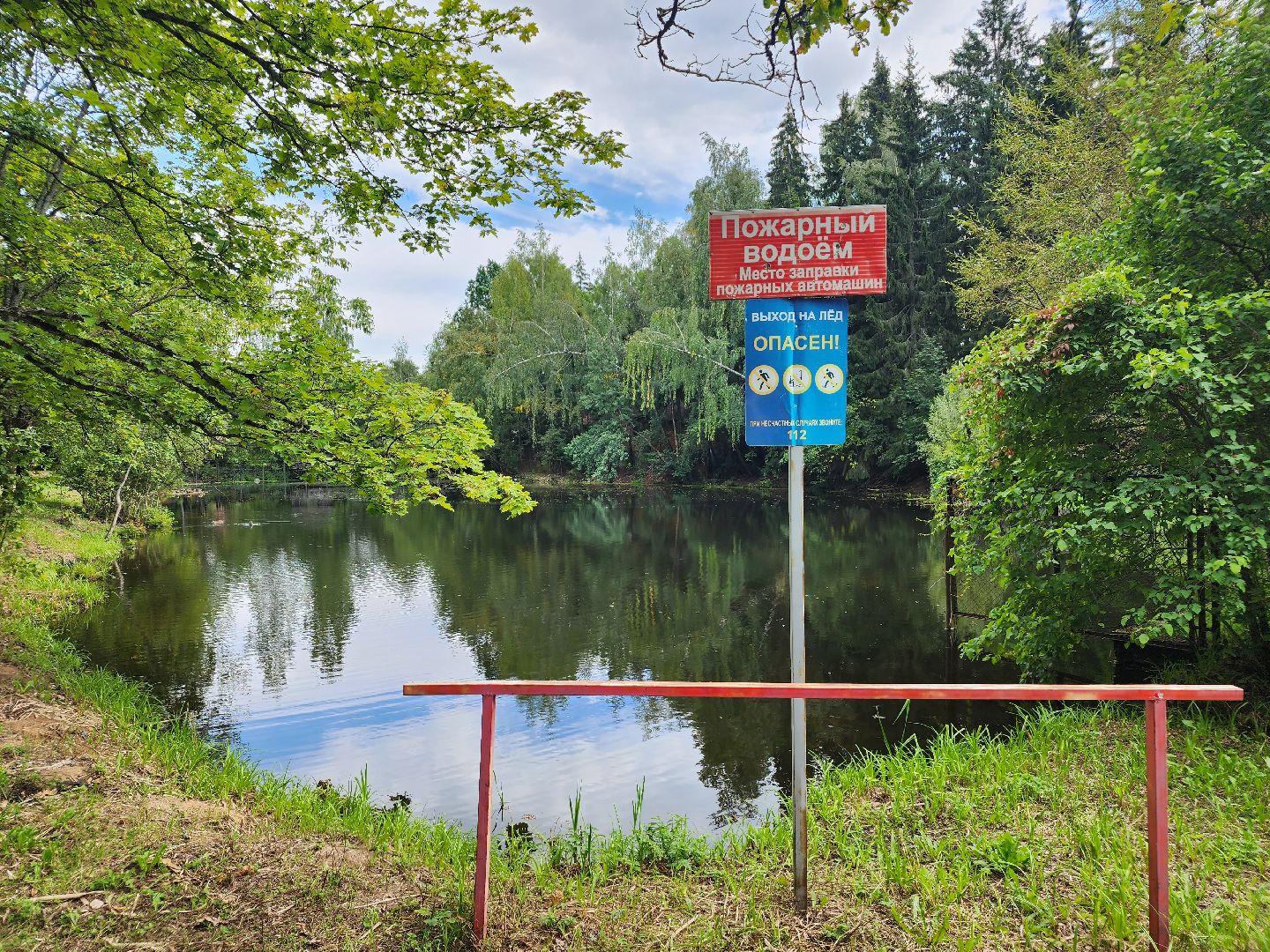 Истра, пруды, очистка