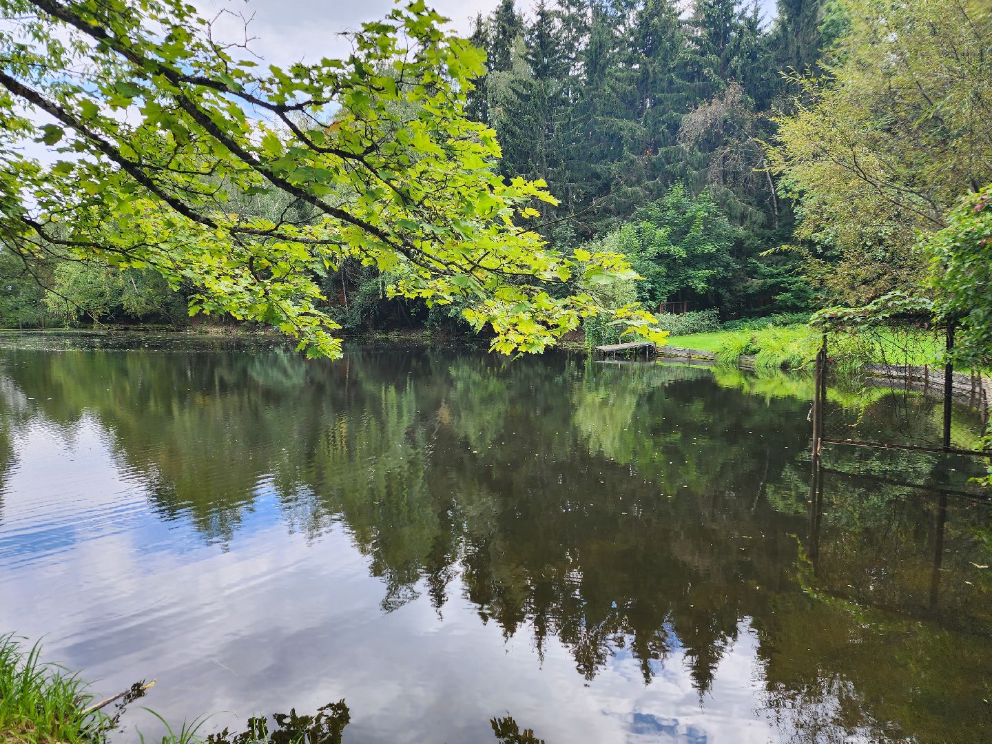 Истра, пруды, очистка