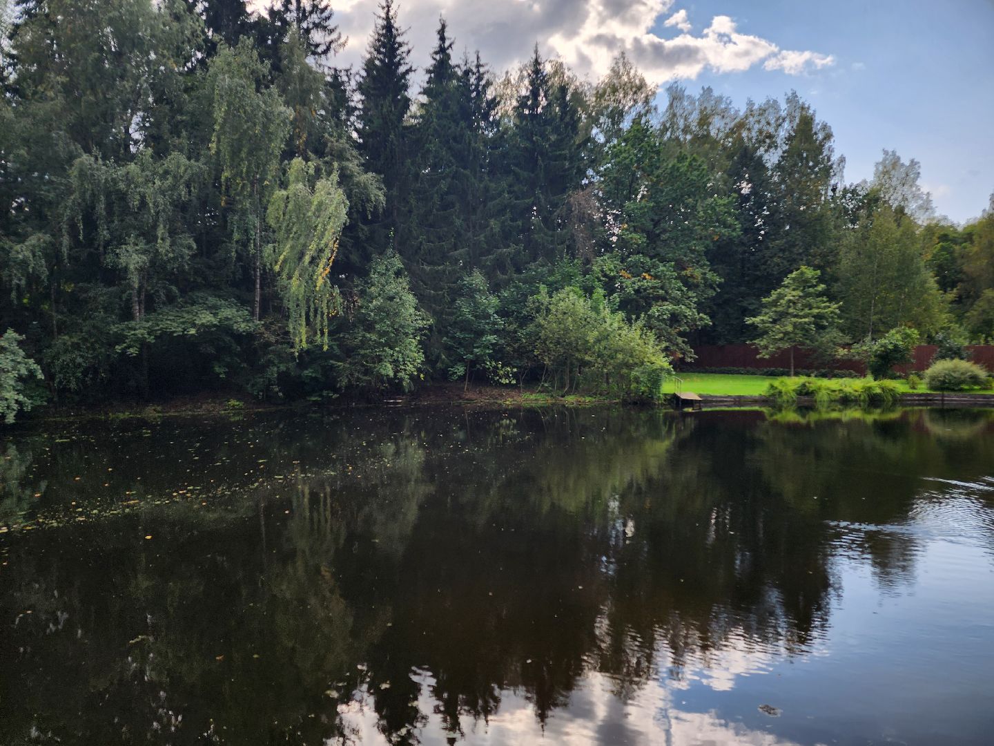 Истра, пруды, очистка