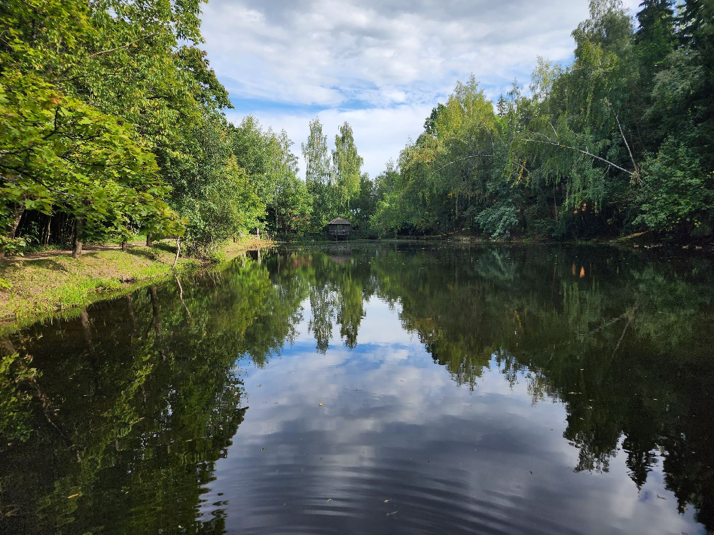 Истра, пруды, очистка