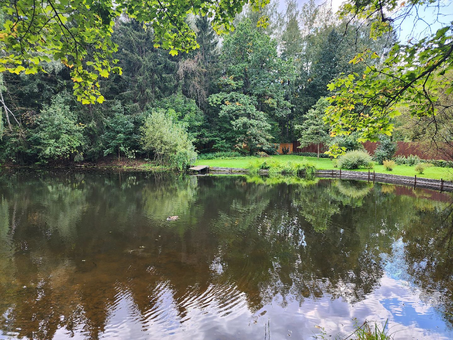 Истра, пруды, очистка