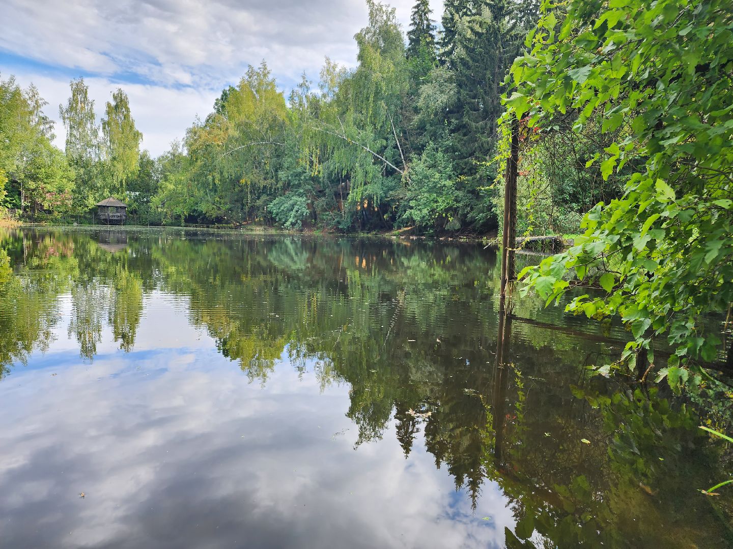 Истра, пруды, очистка