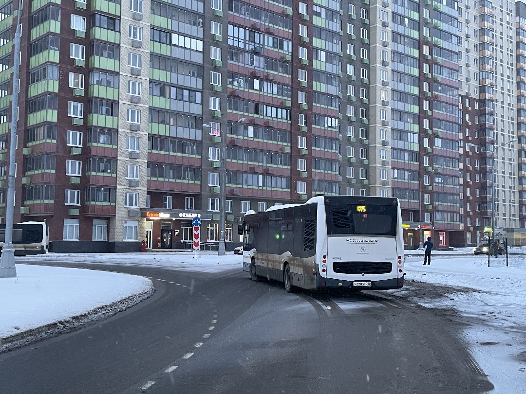 Автобусы, транспорт, пассажиры, маршрут, Люберцы