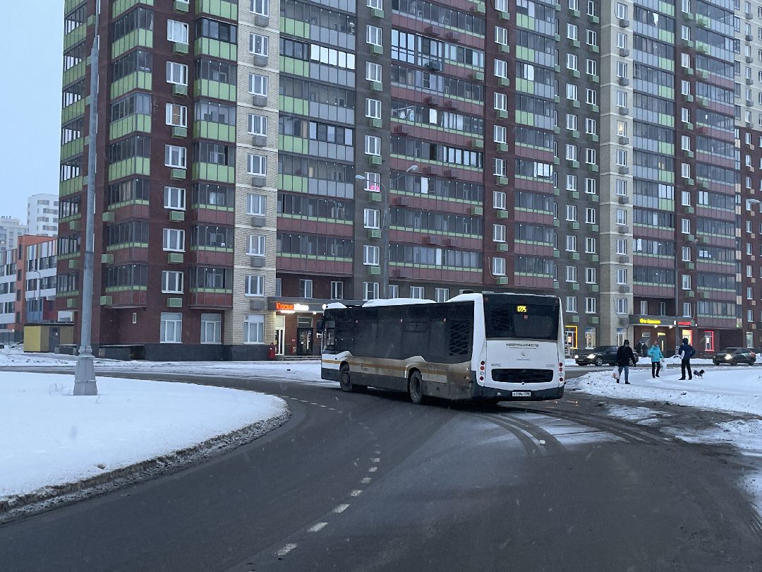 Автобусы, транспорт, пассажиры, маршрут, Люберцы