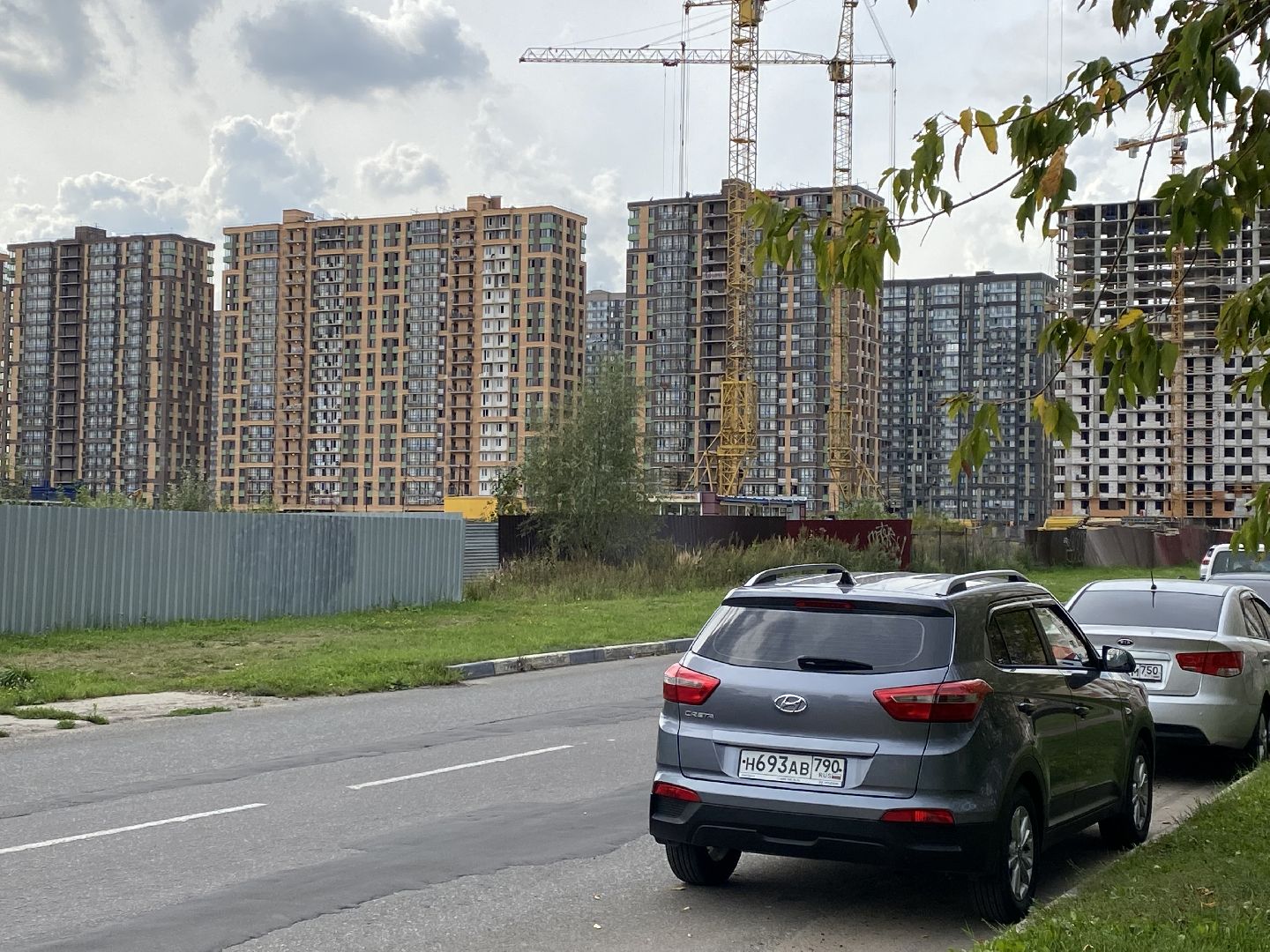 Балашиха, бездомные животные, помощь животным