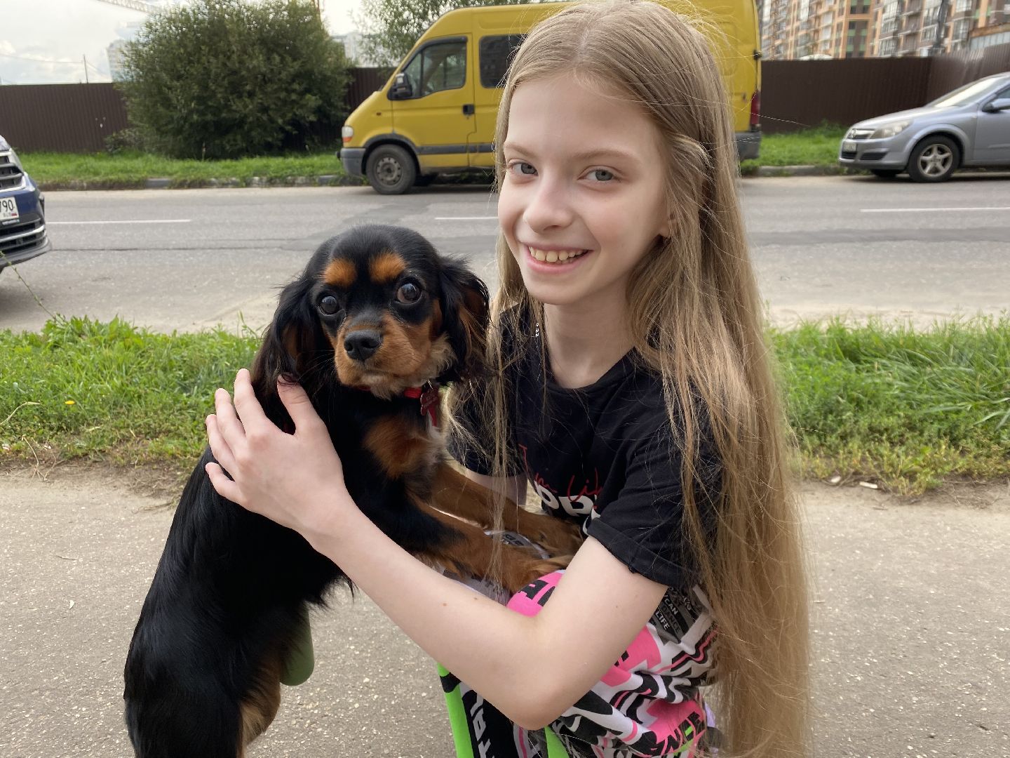 Балашиха, бездомные животные, помощь животным