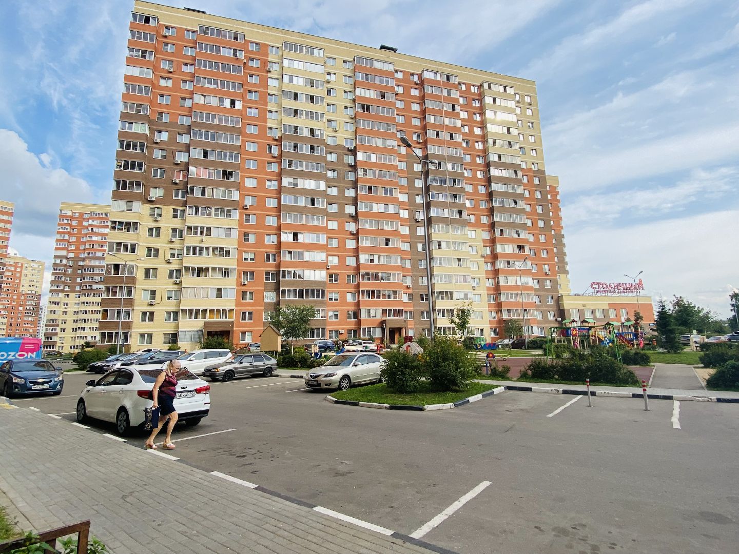 Балашиха, бездомные животные, помощь животным