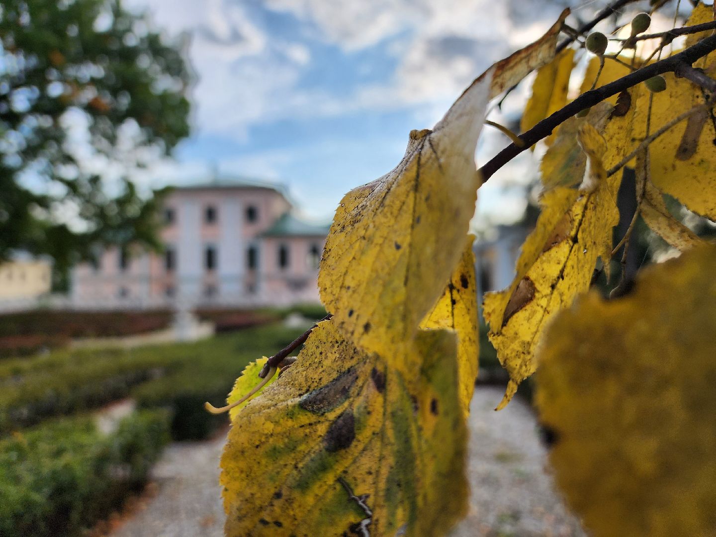 погода, обряды, осень, воскресенск,