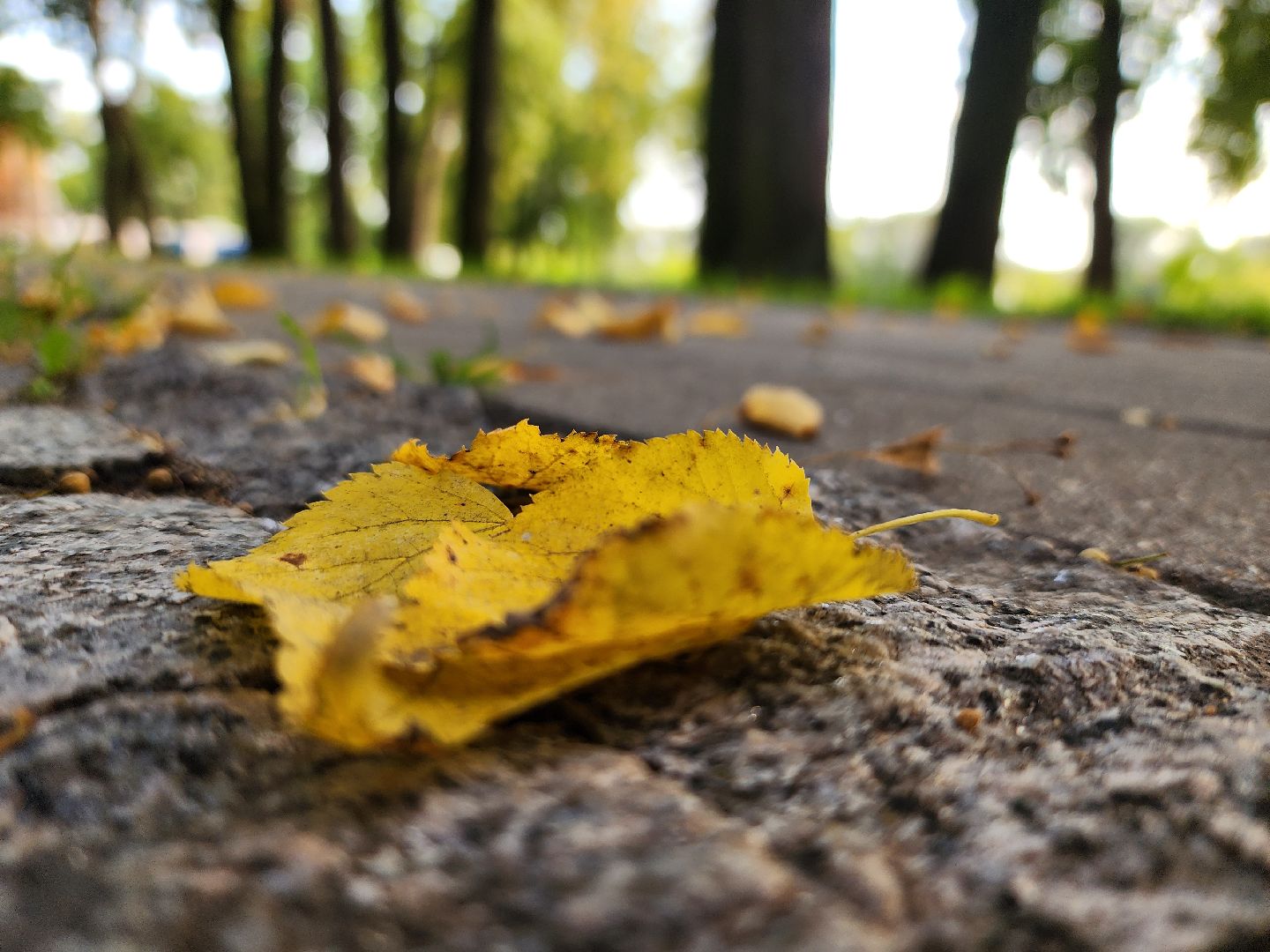 погода, обряды, осень, воскресенск,